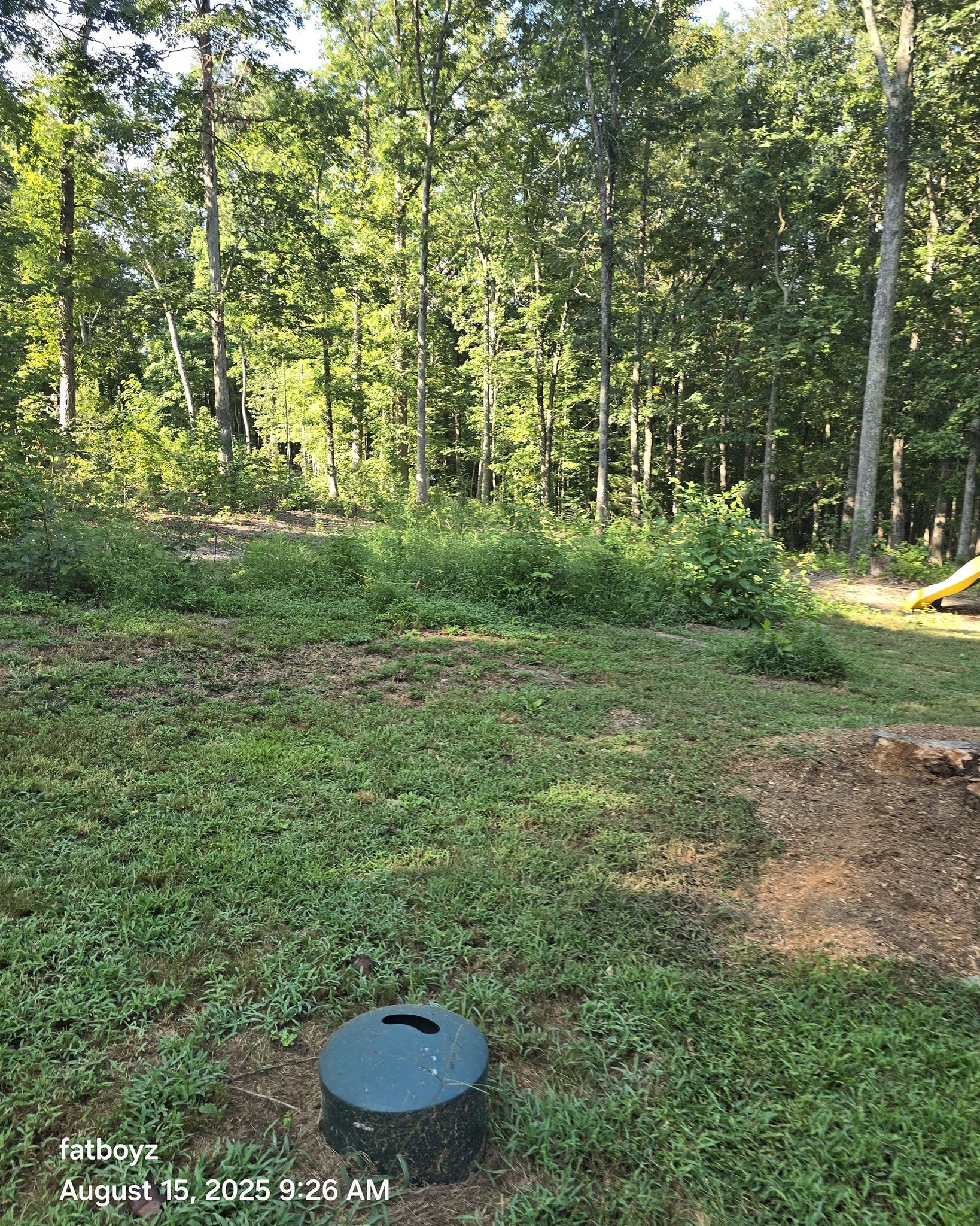 Wooded campsite clearing with a blue fire pit in the foreground and a yellow tent at right.
