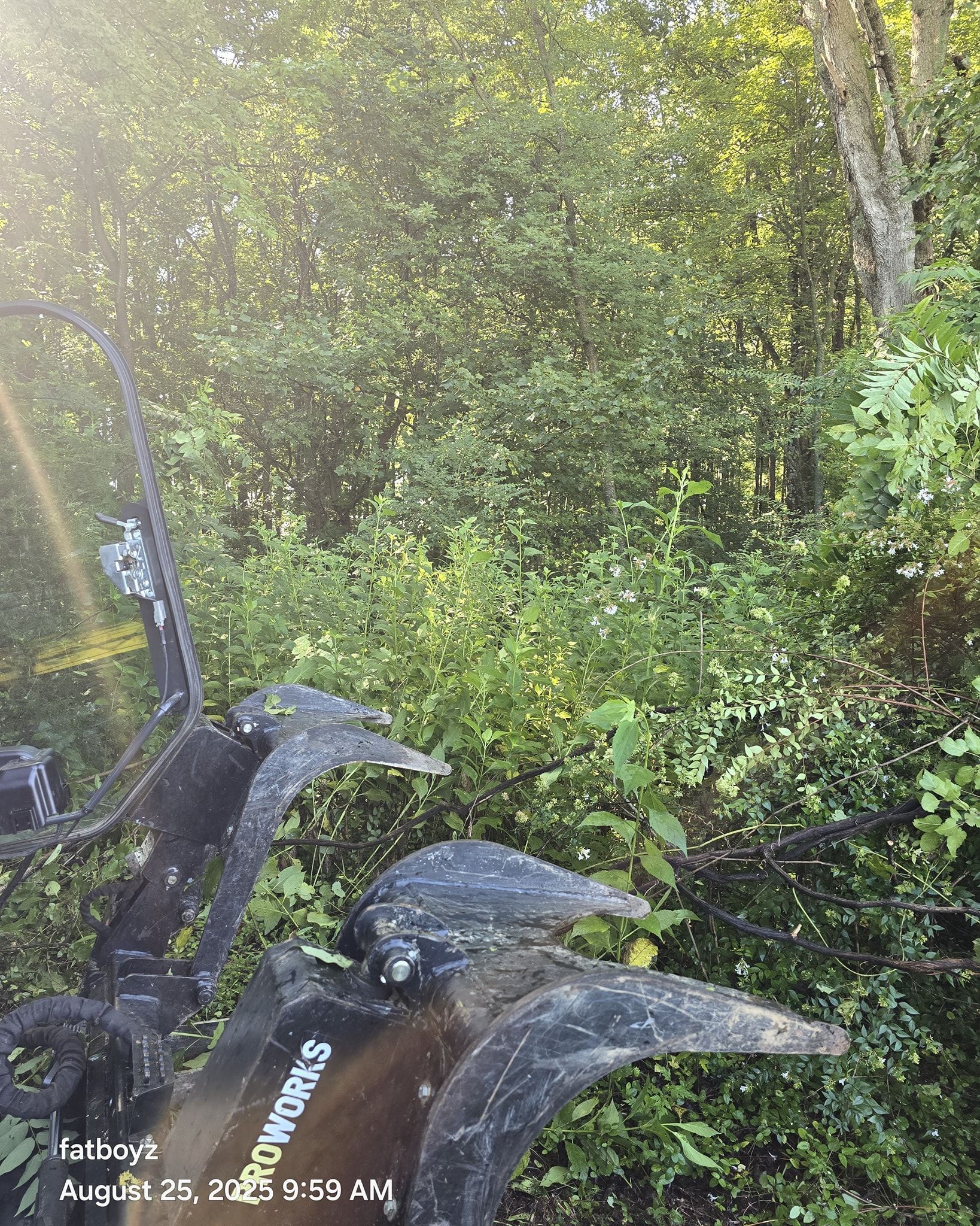 Rusty excavator arm in dense green vegetation, with sunlight streaming through trees.