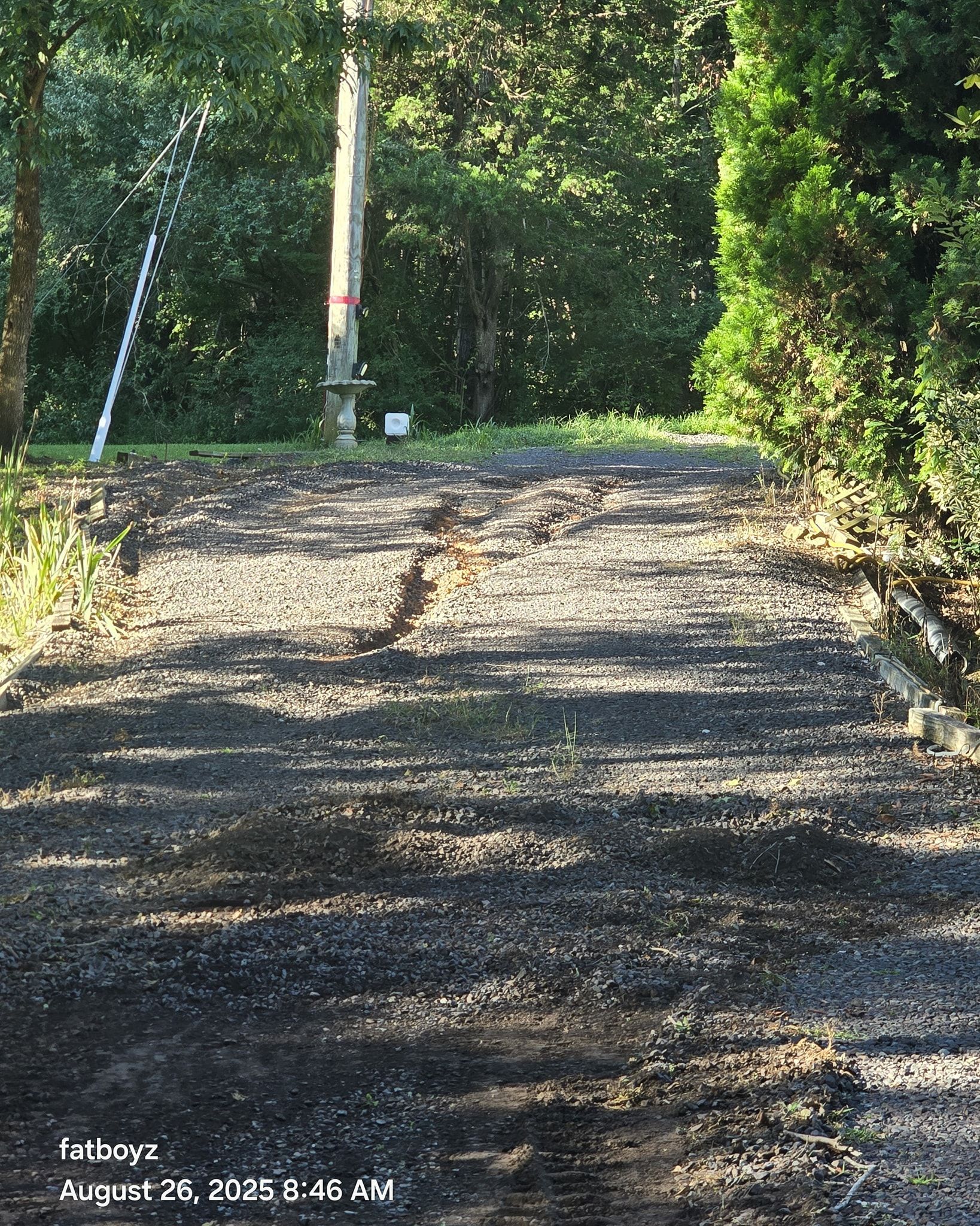 Gravel driveway leading into a wooded area, with sunlight and a utility pole at the end.