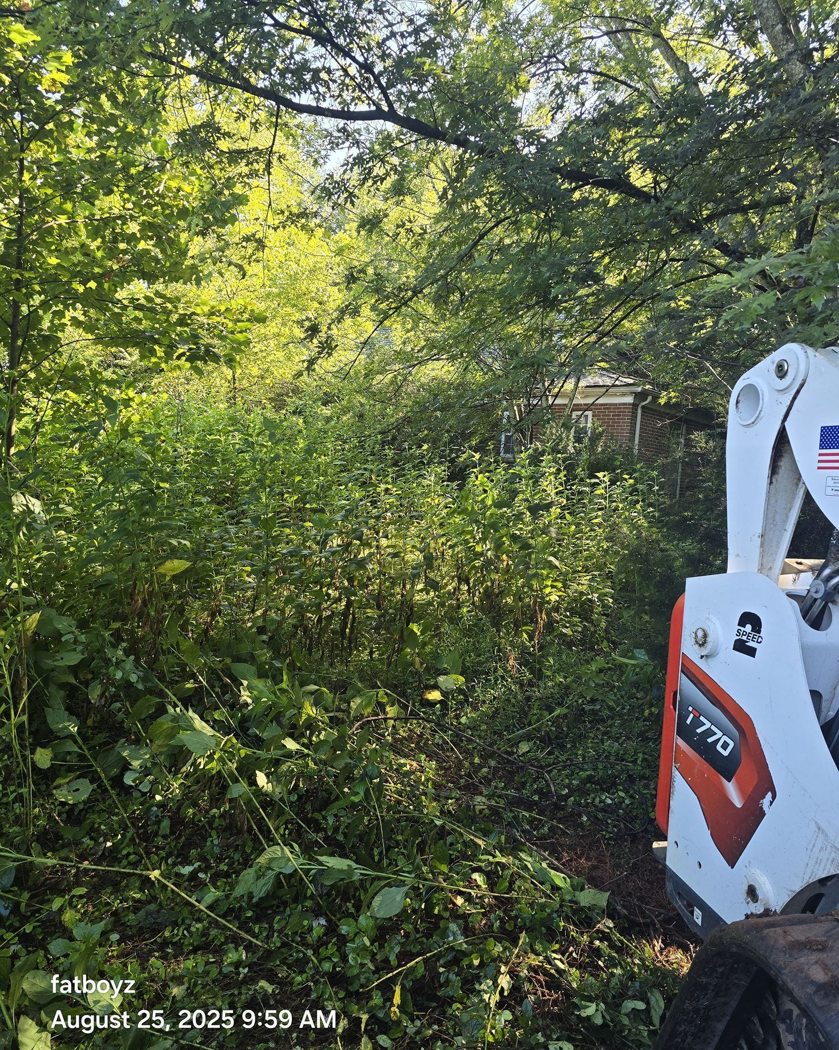 Dense green brush beside a white orange-branded machine in a wooded area