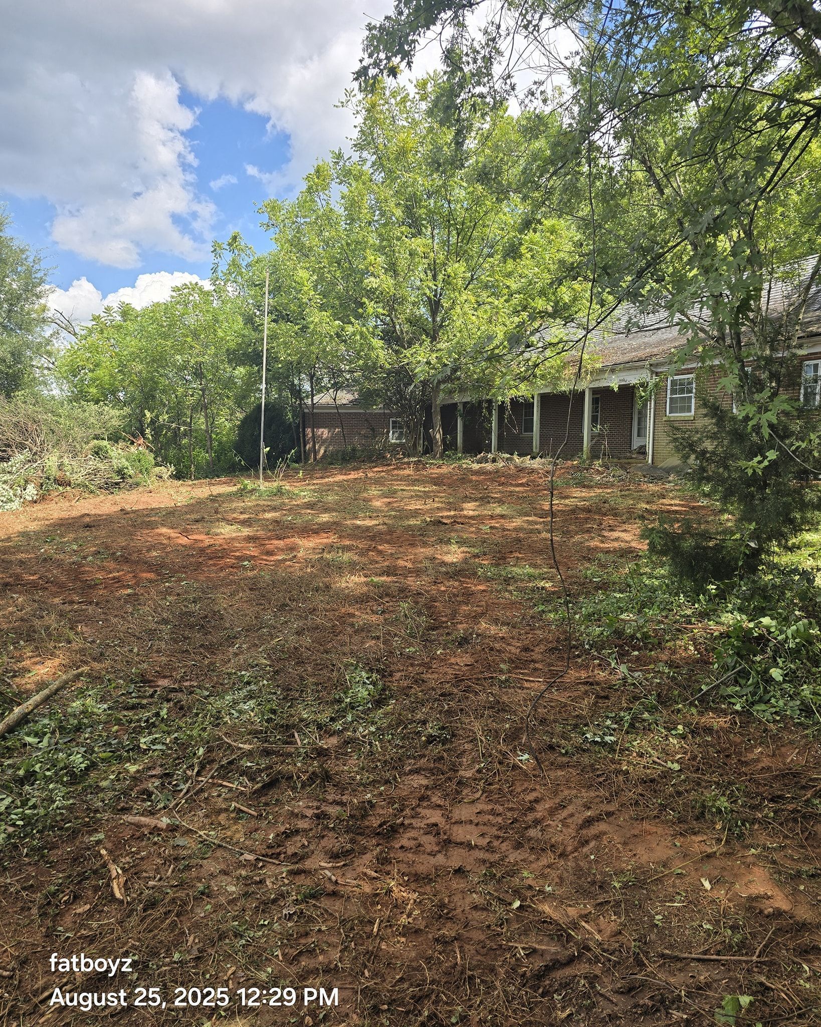 Wooded yard with a dirt slope, green trees, and a house partly visible on the right.