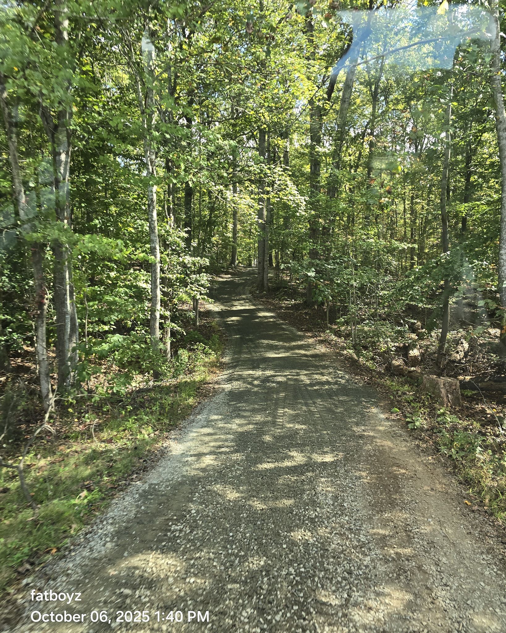 Wooded gravel path winding through dense green trees in sunlight