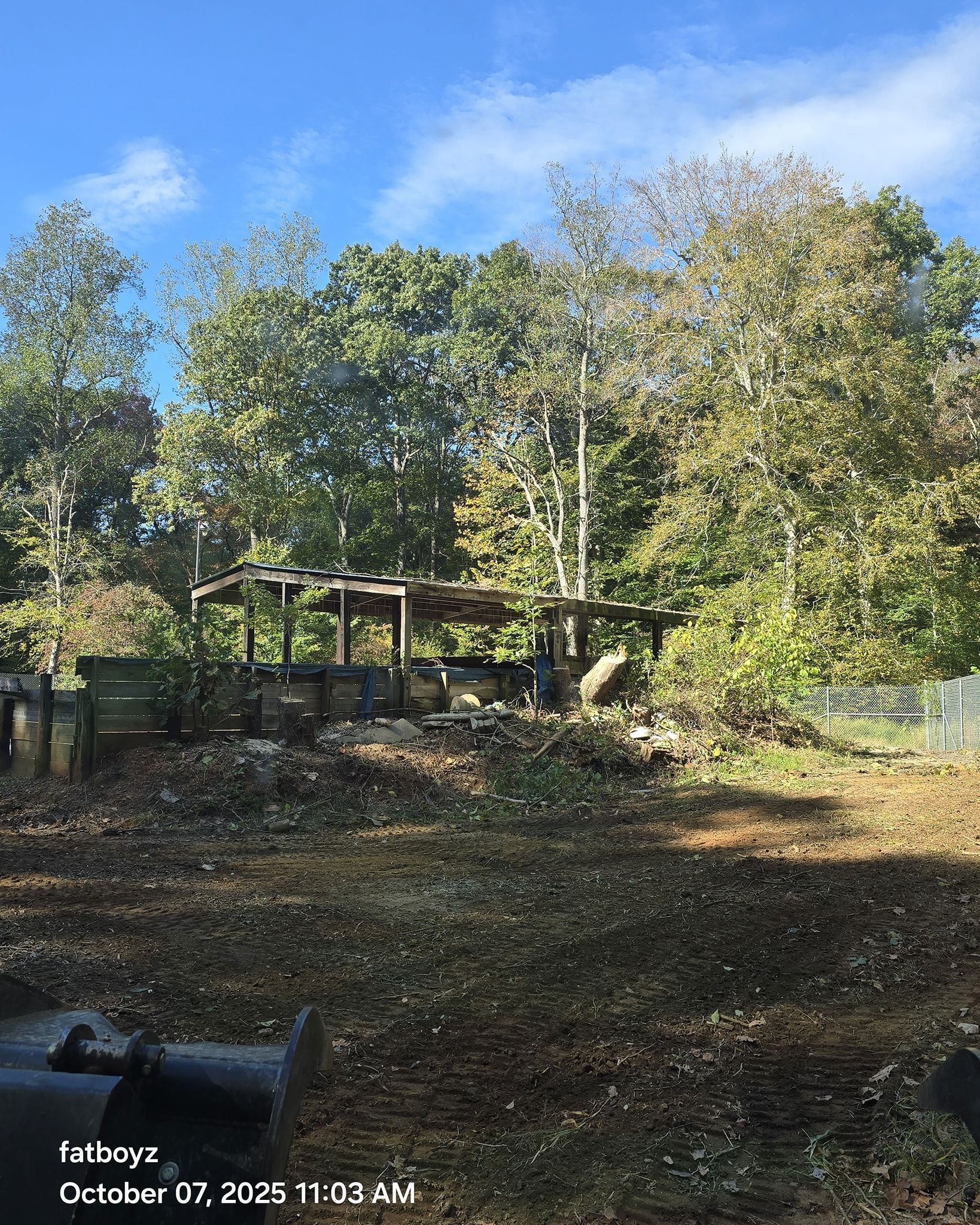 Wooded backyard with a small wooden bridge or deck, autumn leaves, and blue sky.