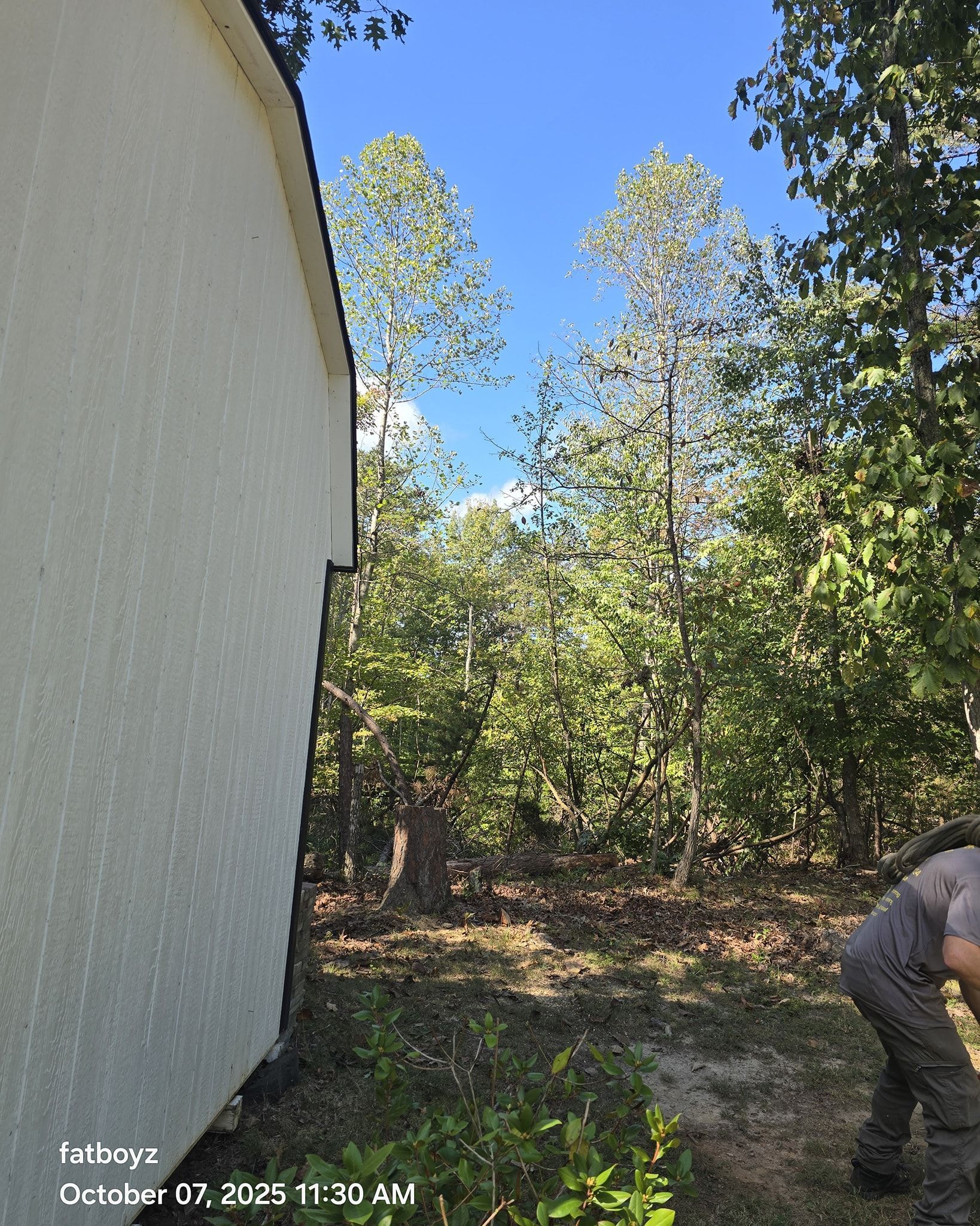 White building beside wooded area under blue sky, with a person bending over at the right edge