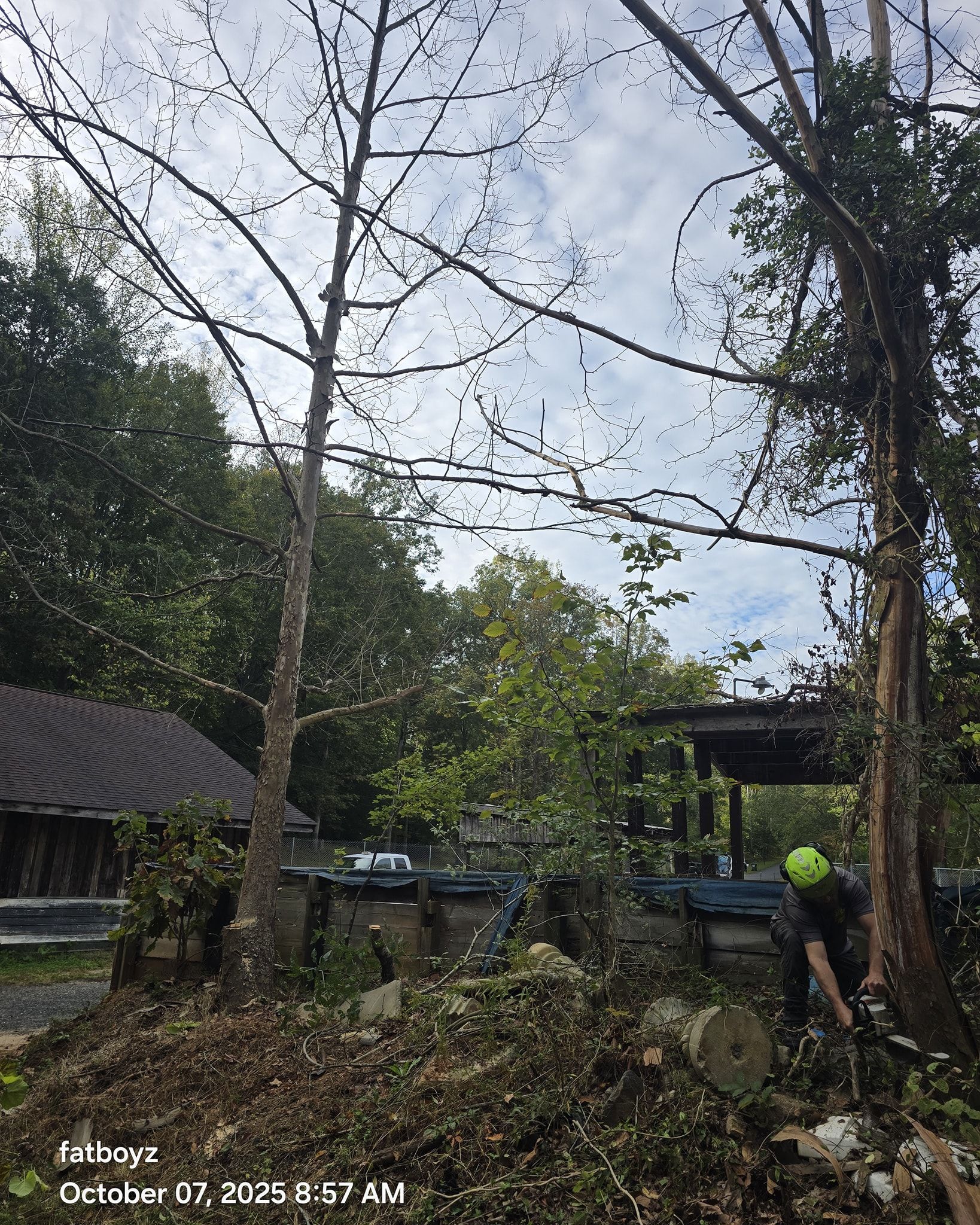 Leafless trees and a rustic yard with a shed, parked cars, and a person in a neon jacket near a wooden structure