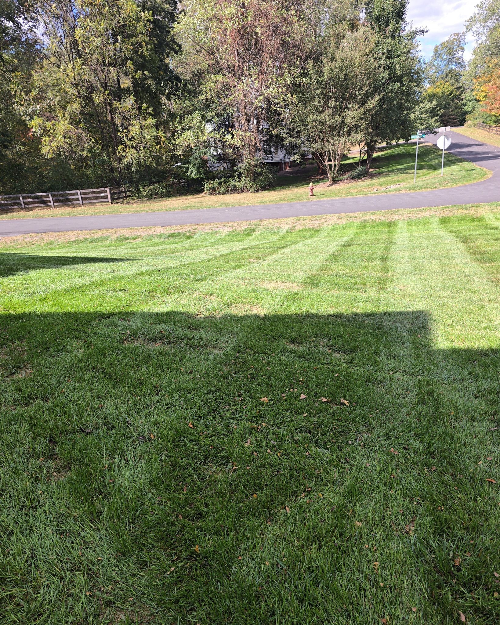 Grassy lawn with sun and shadow, bordered by trees and a curving road in the background