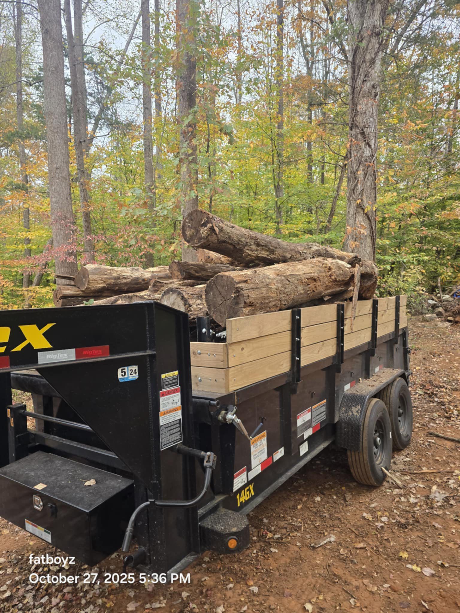 Black dump trailer loaded with logs in a wooded area