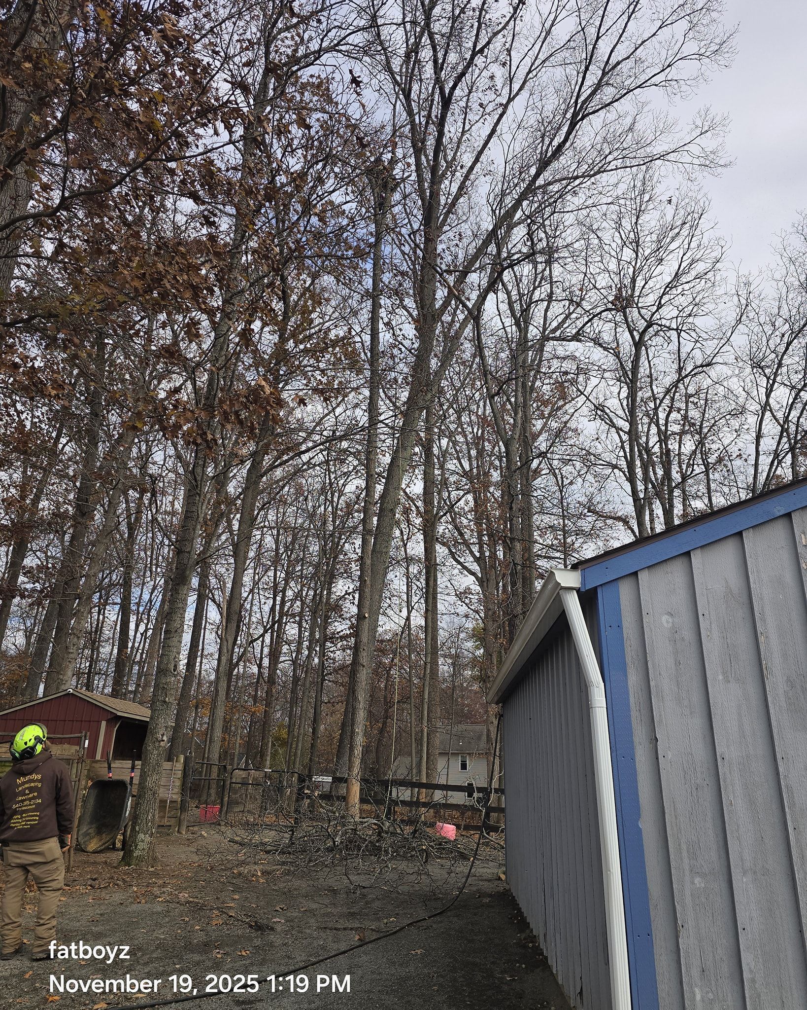 A person in a neon jacket stands by a shed in a wooded yard beside a gray wall.
