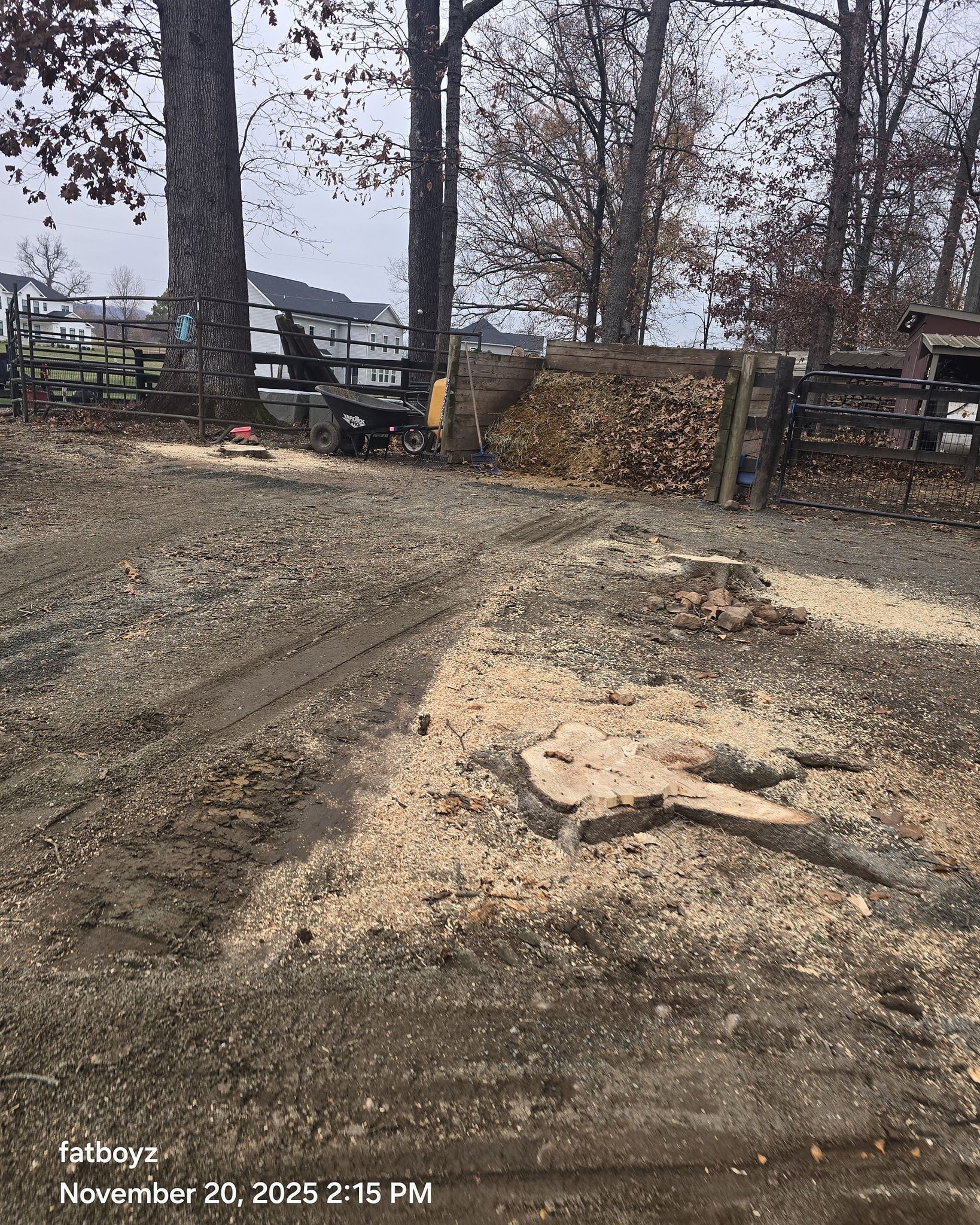 Mud-and-snow driveway beside trees and stacked firewood on a cloudy day