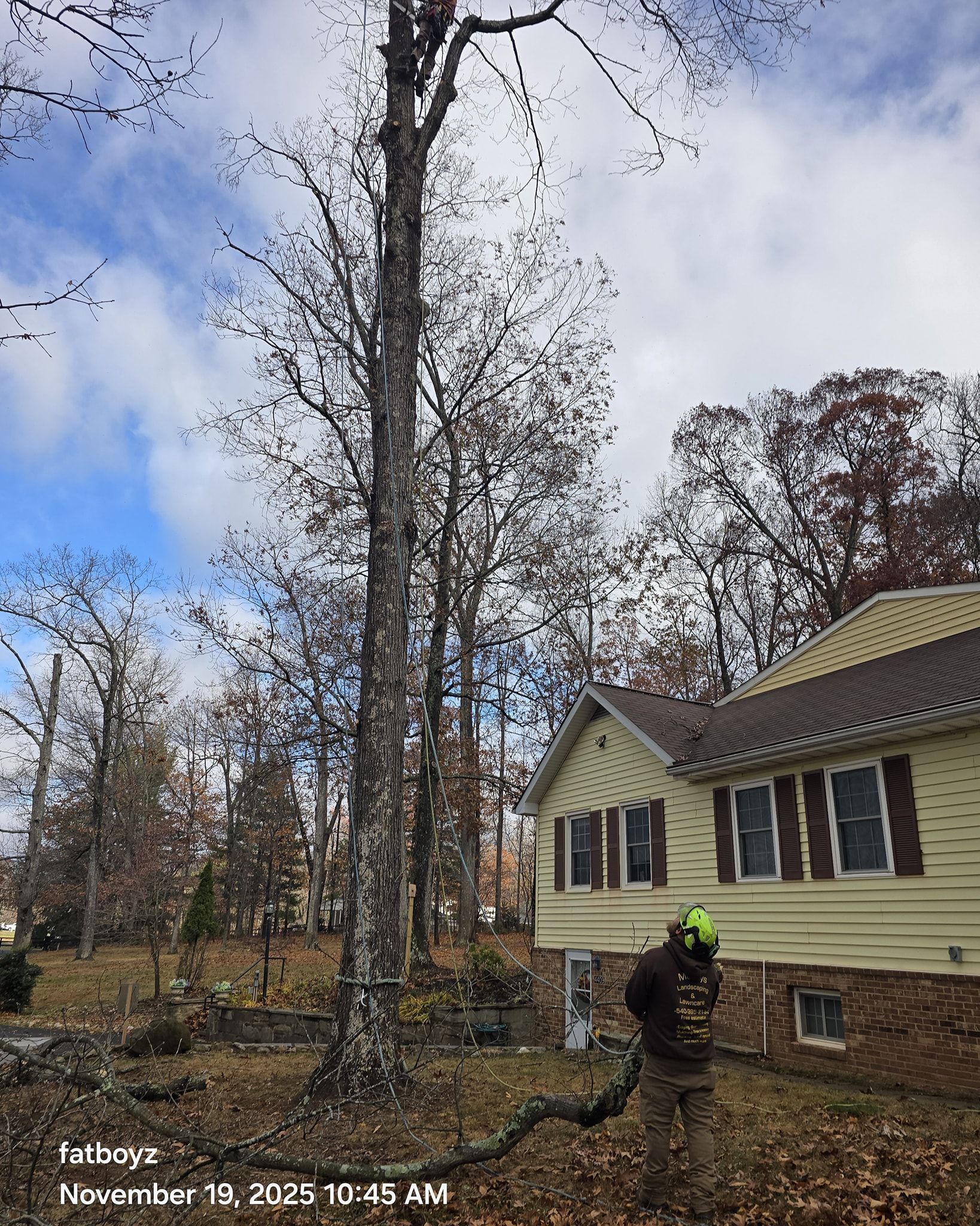 Worker in neon helmet near a yellow house and tall trees in a wooded yard.