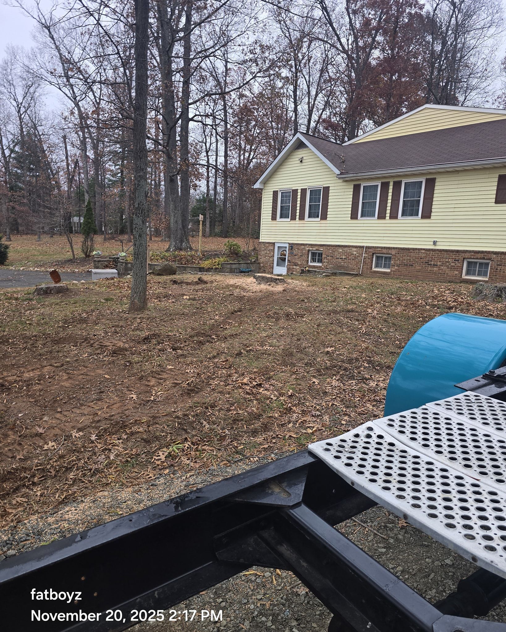 Leaf-covered yard beside a pale yellow house with bare trees, seen from a truck bed.