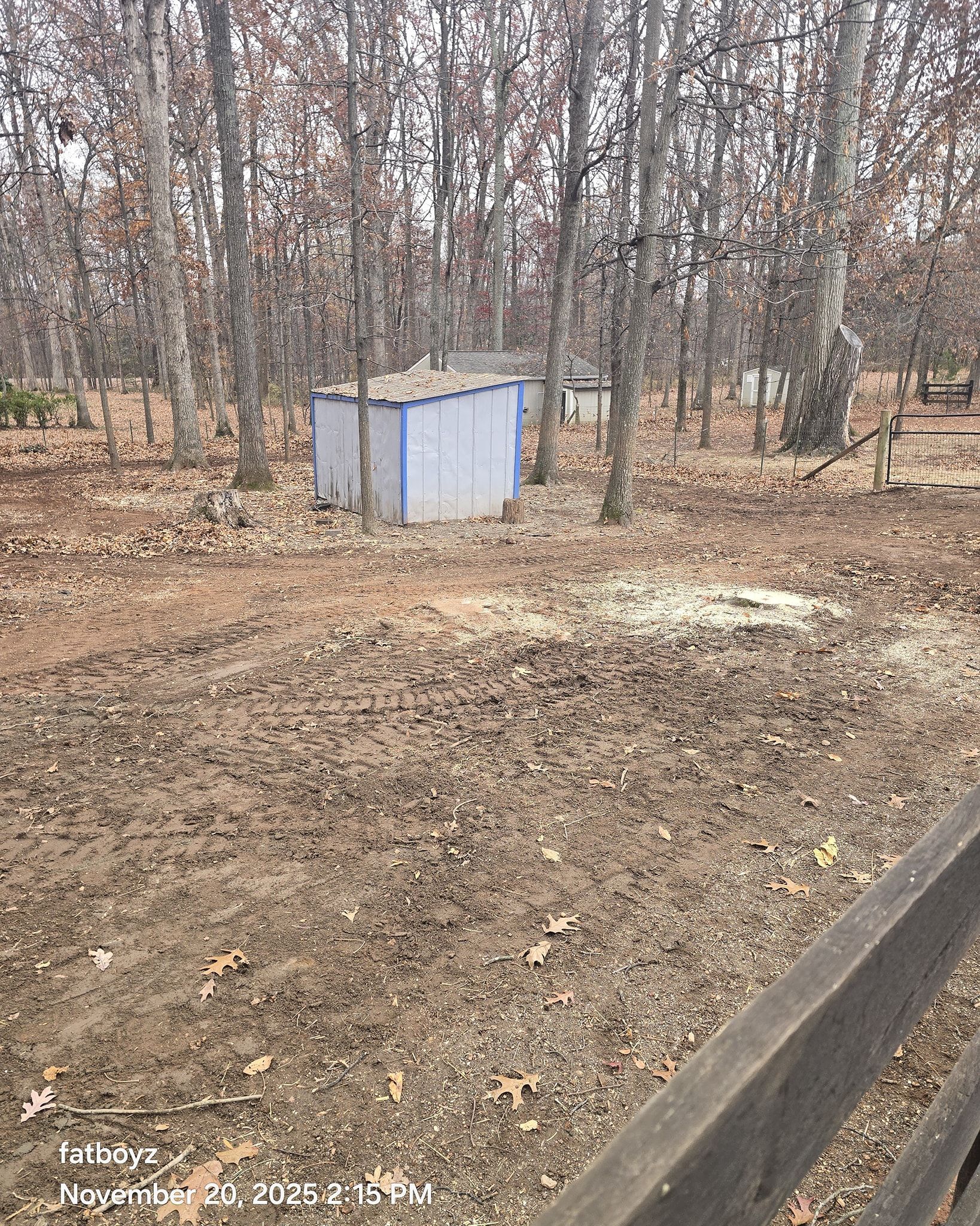 Small blue shed in a leaf-covered wooded area, with a low bench in the foreground.