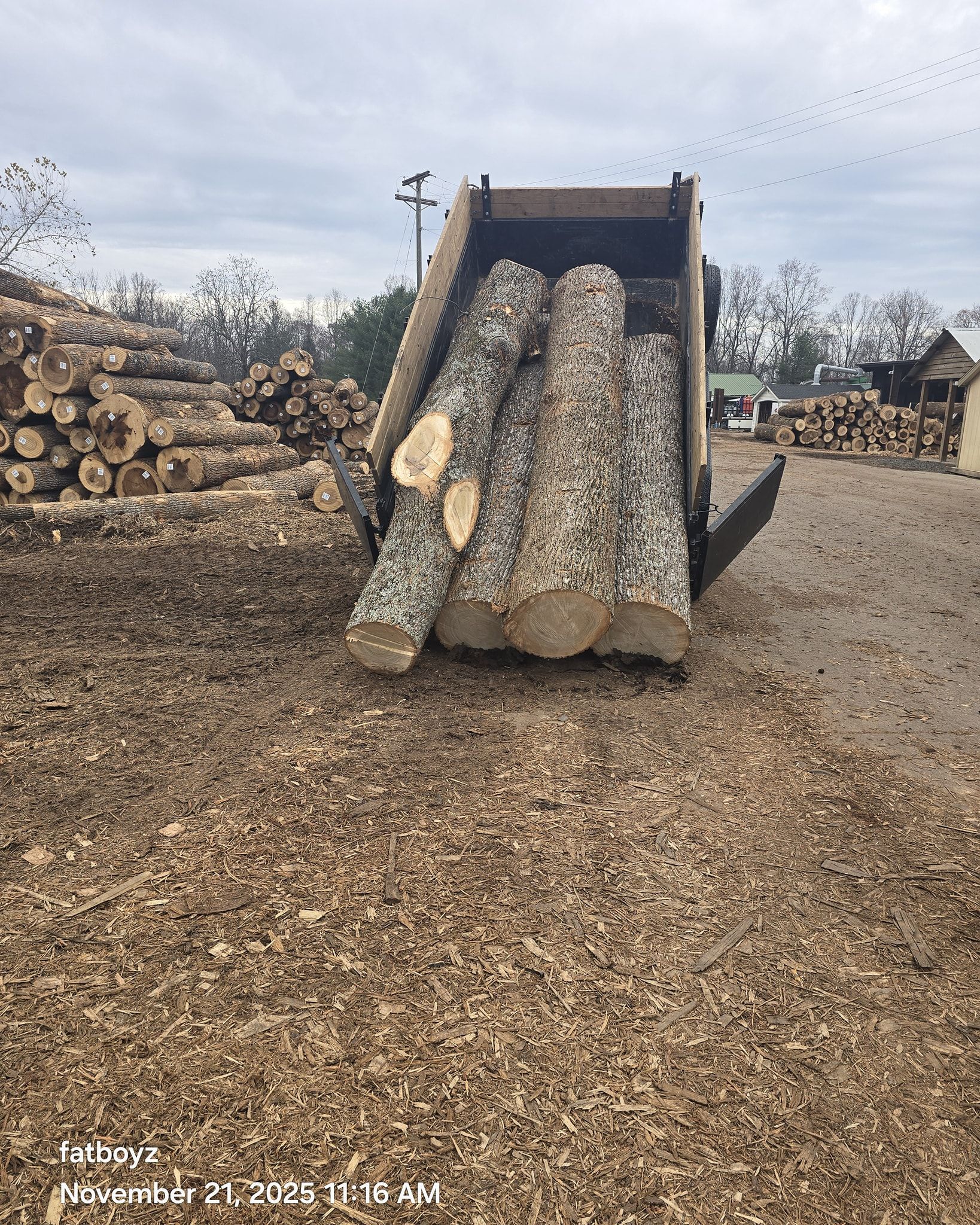 Truck unloading cut logs at a lumber yard, with stacked timber piles in the background
