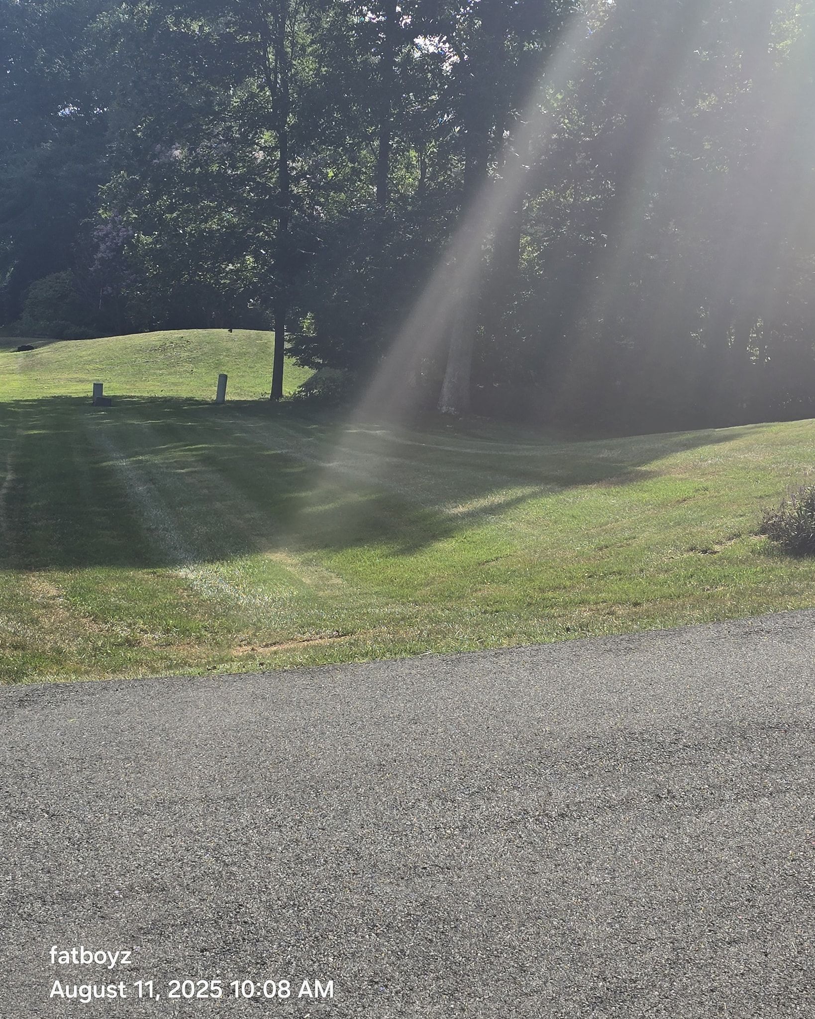 Sunlit grassy yard beside a gravel path, with trees and a bright diagonal beam of light