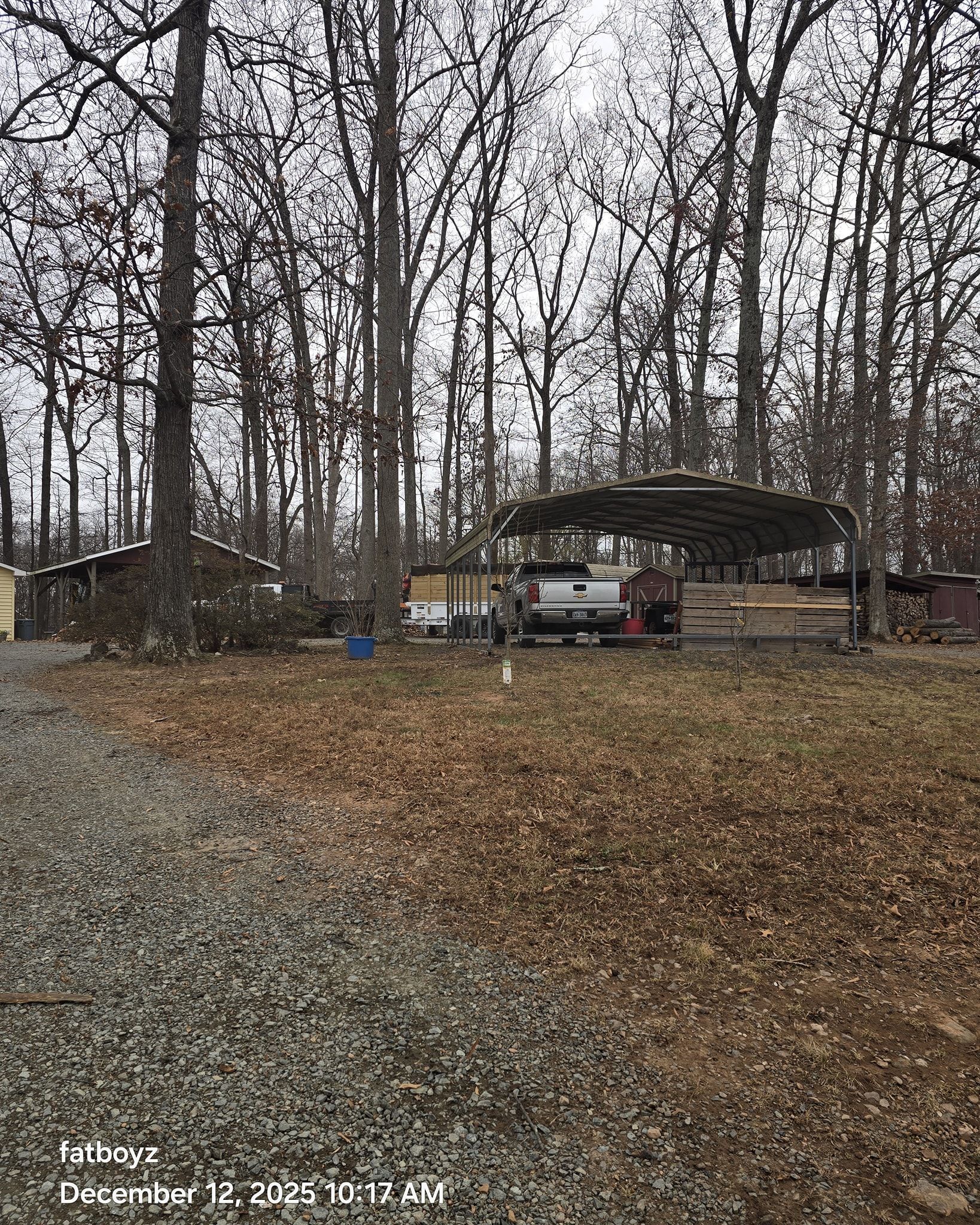 Leaf-covered yard with a gravel path and a carport sheltering vehicles among bare trees.