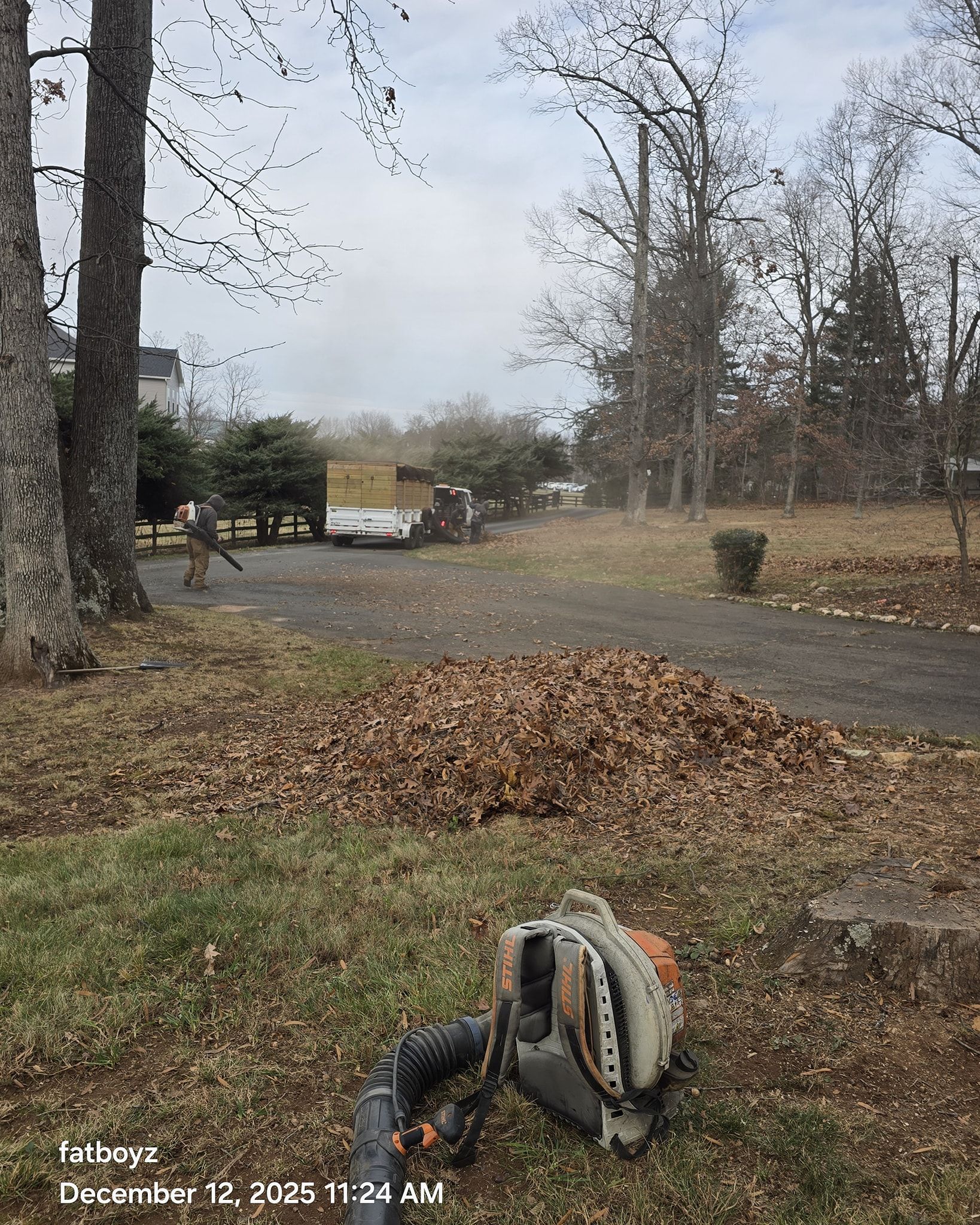 Backyard in late autumn with leaf piles, trees, and a hose reel in the foreground