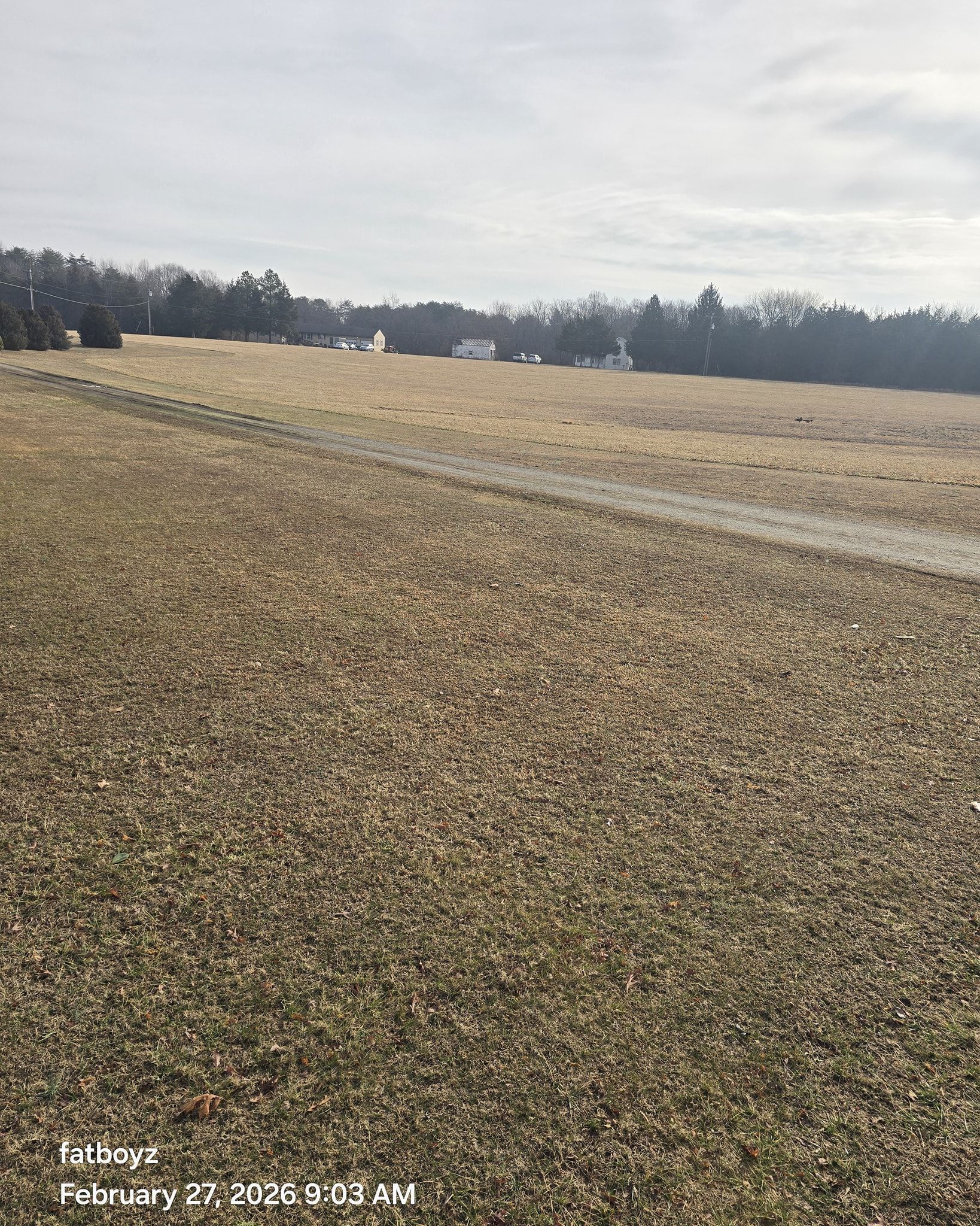 Dry, rocky field under a cloudy sky with a tree line in the distance