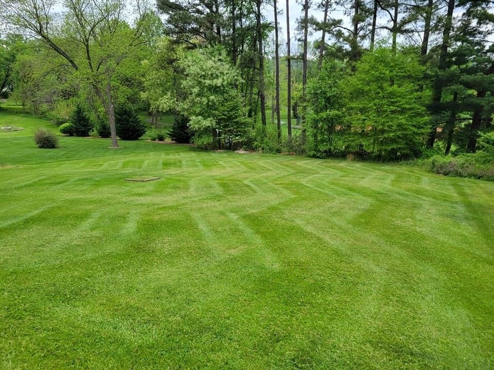 Lush green lawn with trees and shrubs in the background under a cloudy sky