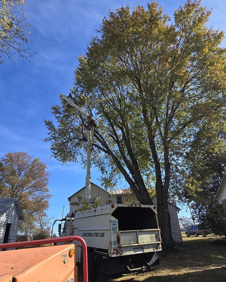 Tree service truck with bucket lift parked by a large autumn tree under a blue sky