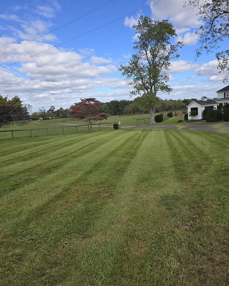 Mowed grassy lawn under a blue sky with scattered clouds, trees, and a small white shed near a house.