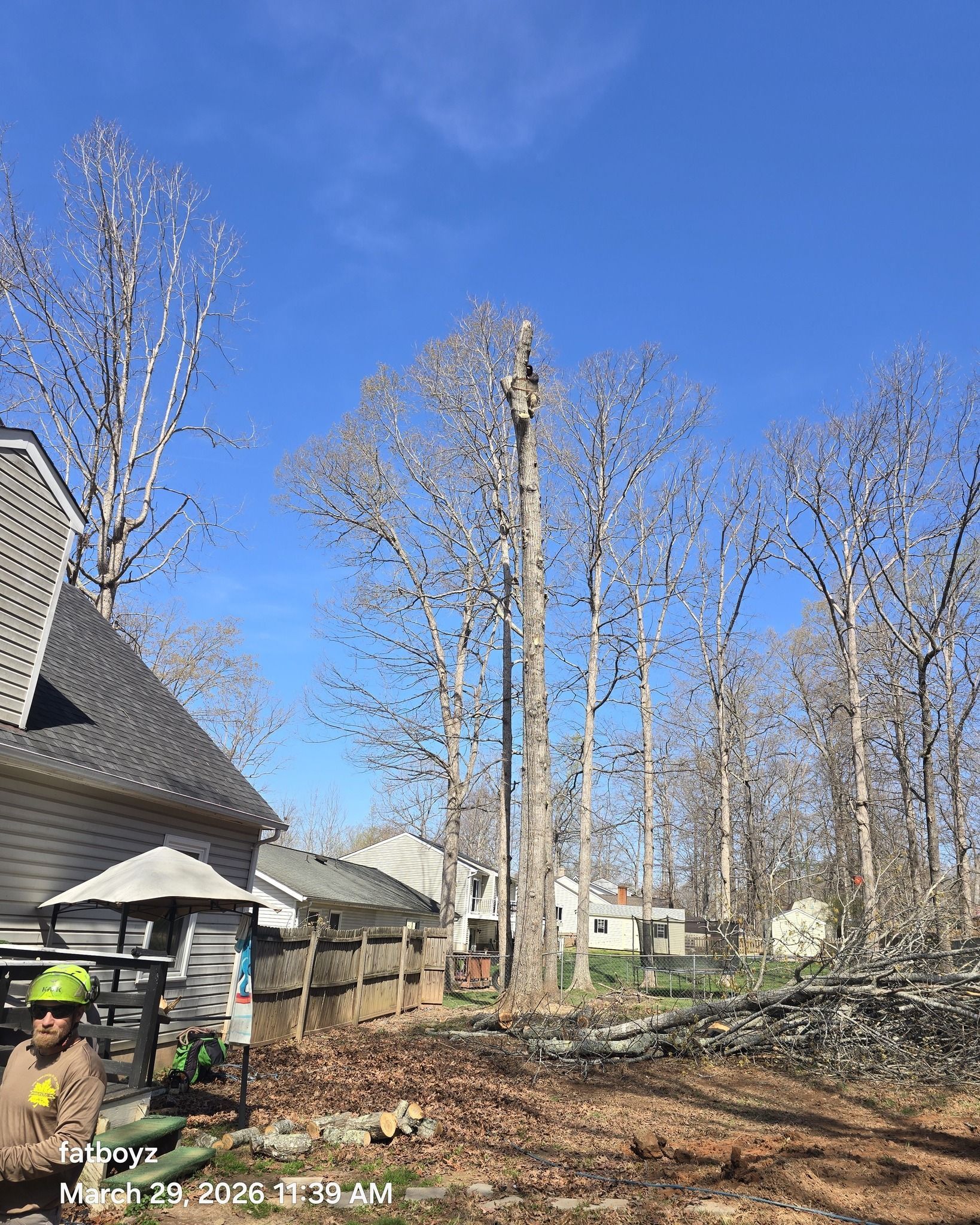 Tree-covered yard with a house at left and a worker in a neon helmet near a pile of branches under a blue sky