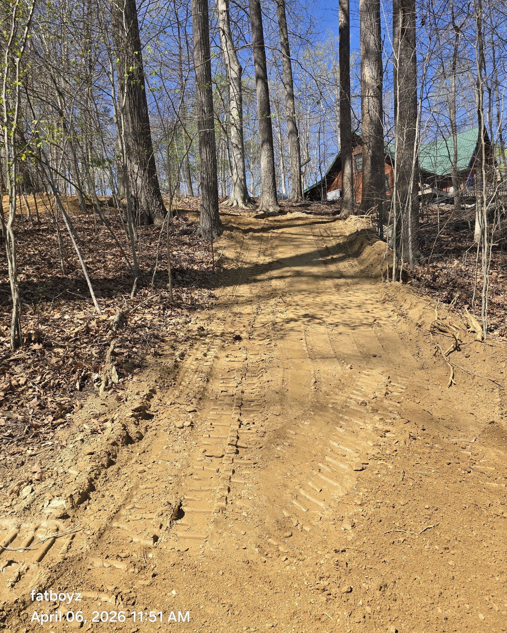 Dirt road through a leafless forest leading to a cabin under a blue sky