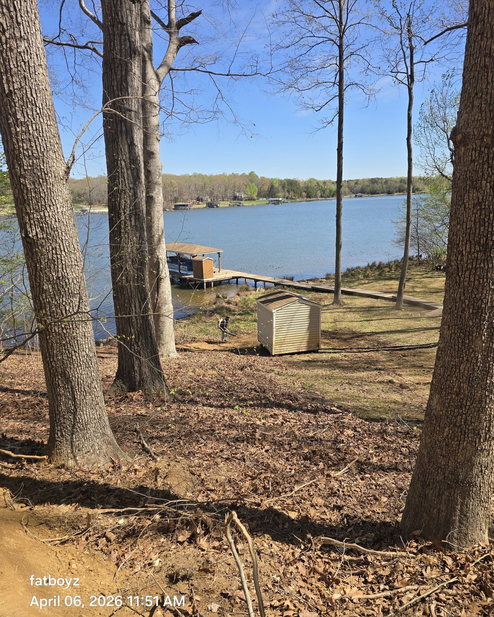 Wooded lakeshore with trees, a small dock, and calm blue water under a clear sky