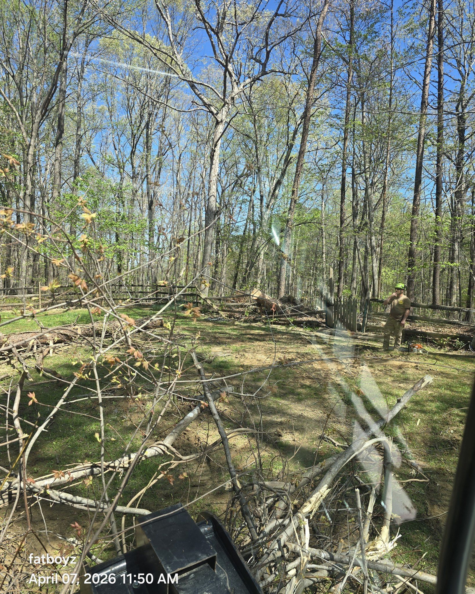Wooded trail with fallen branches, mossy ground, and tall trees under a blue sky