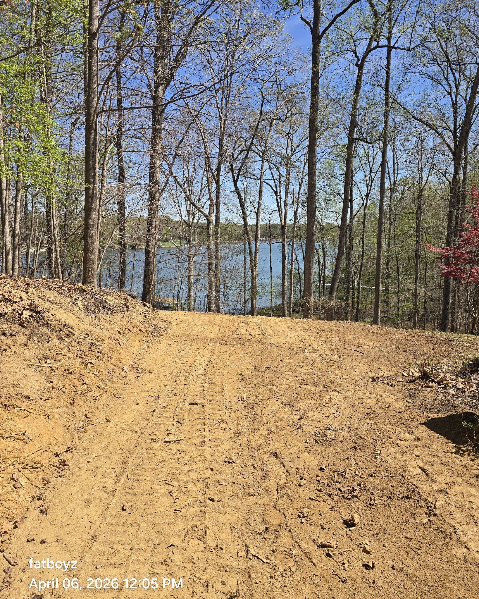 Sandy dirt path leading through trees to a calm lake under a clear blue sky