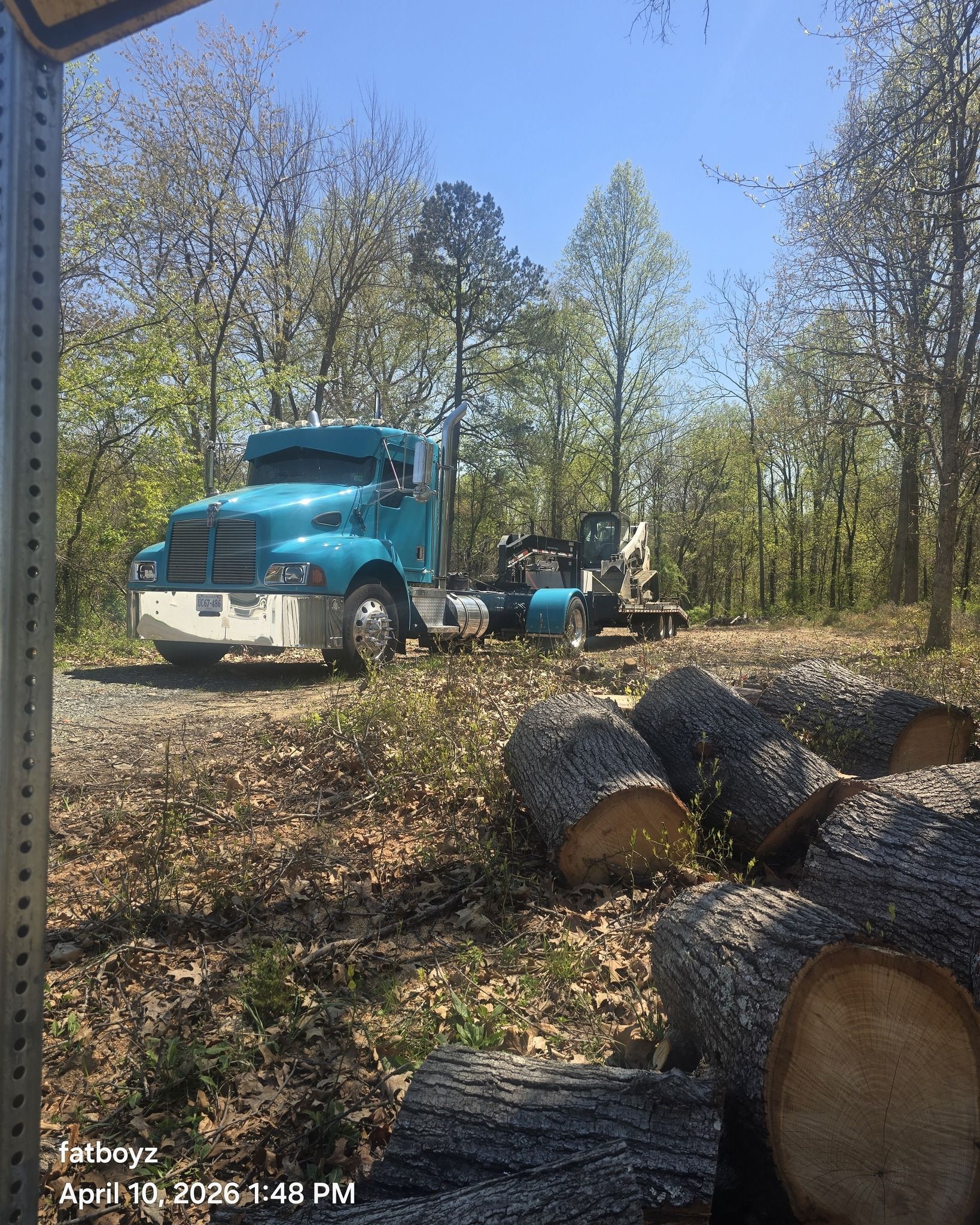 Blue logging truck on a wooded dirt road beside cut tree logs and stacked firewood.