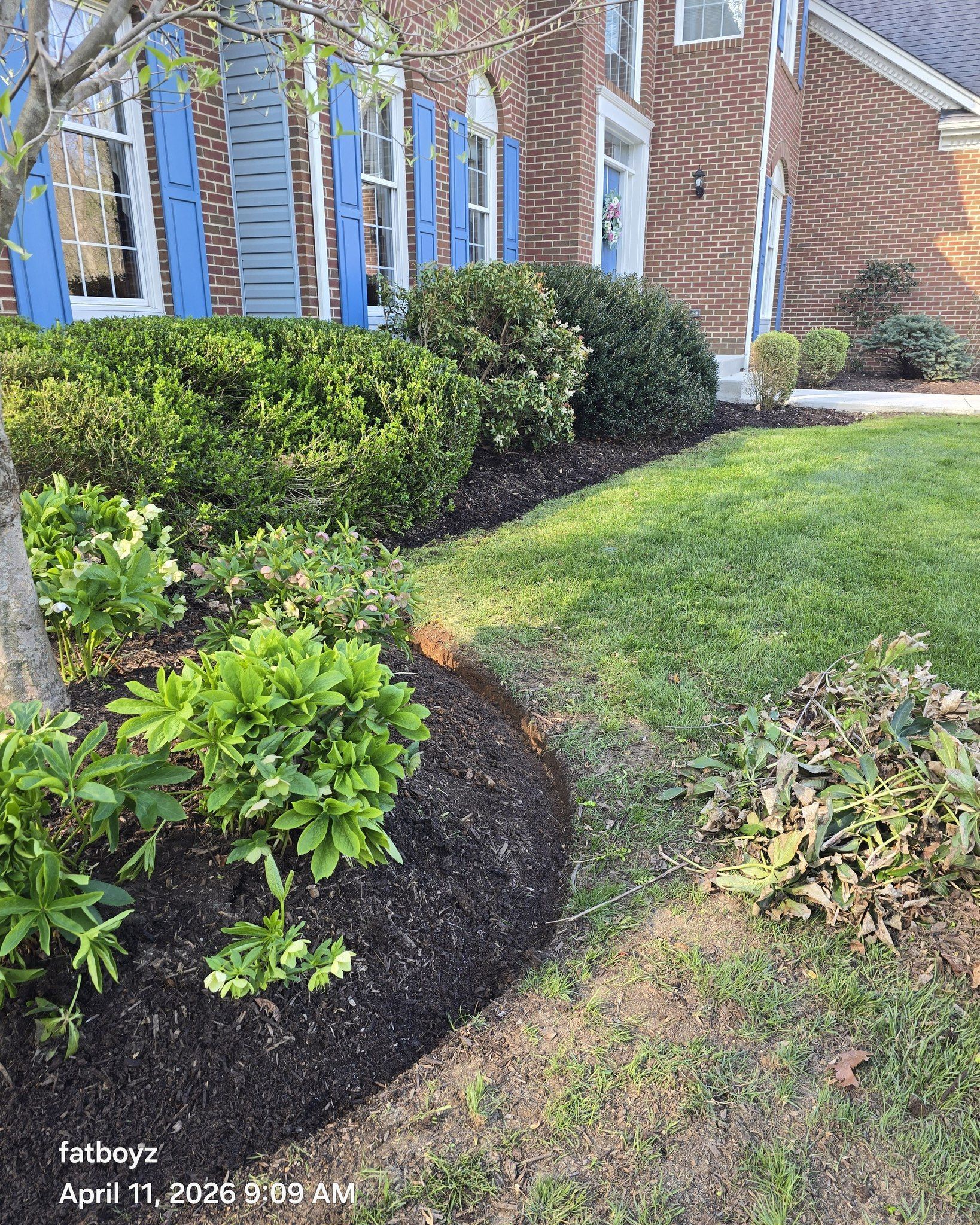 Landscaped yard with curving mulch bed, green shrubs, and brick building with blue-trimmed windows.