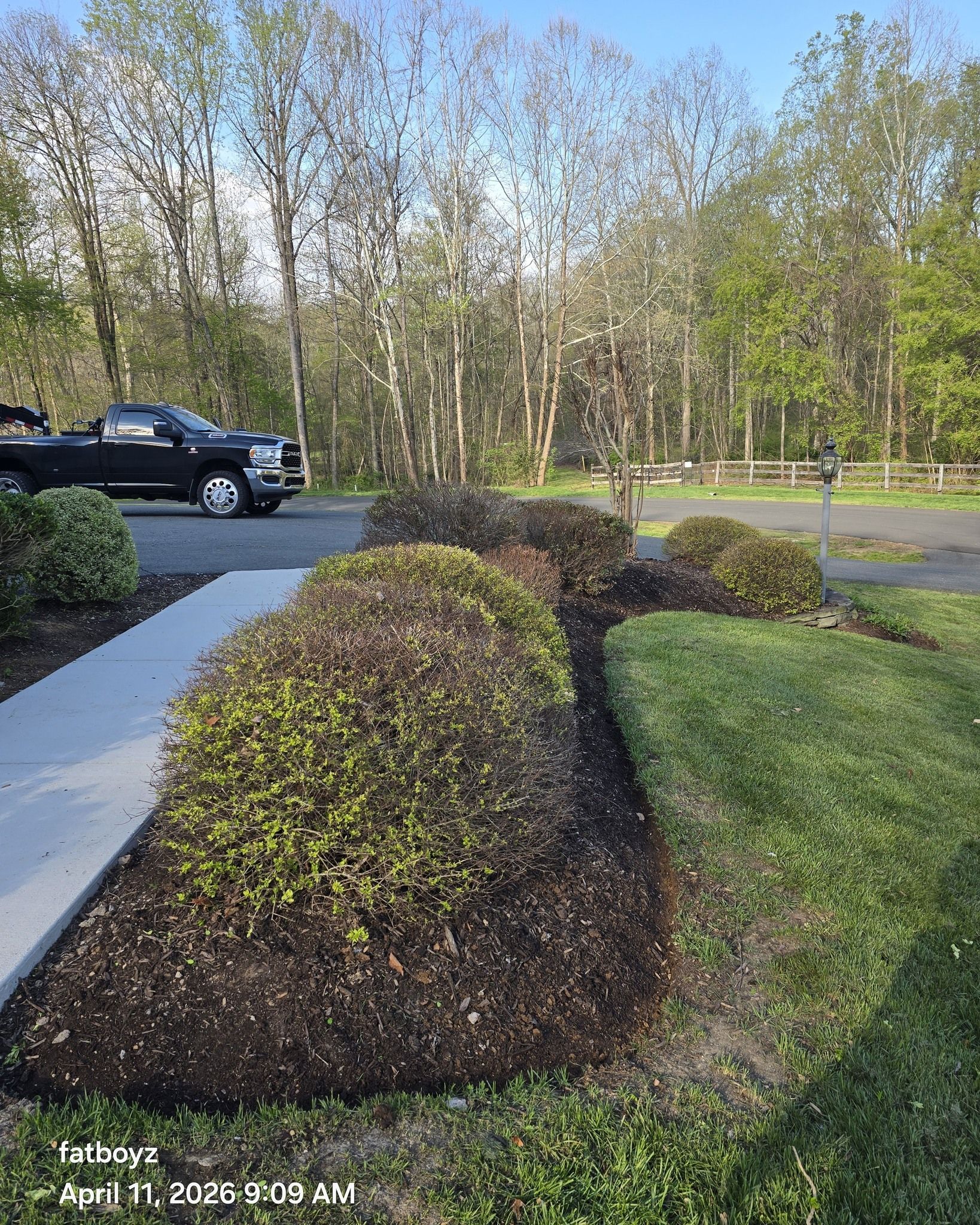 Landscaped parking lot with shrubs, sidewalk, and a black pickup truck near trees