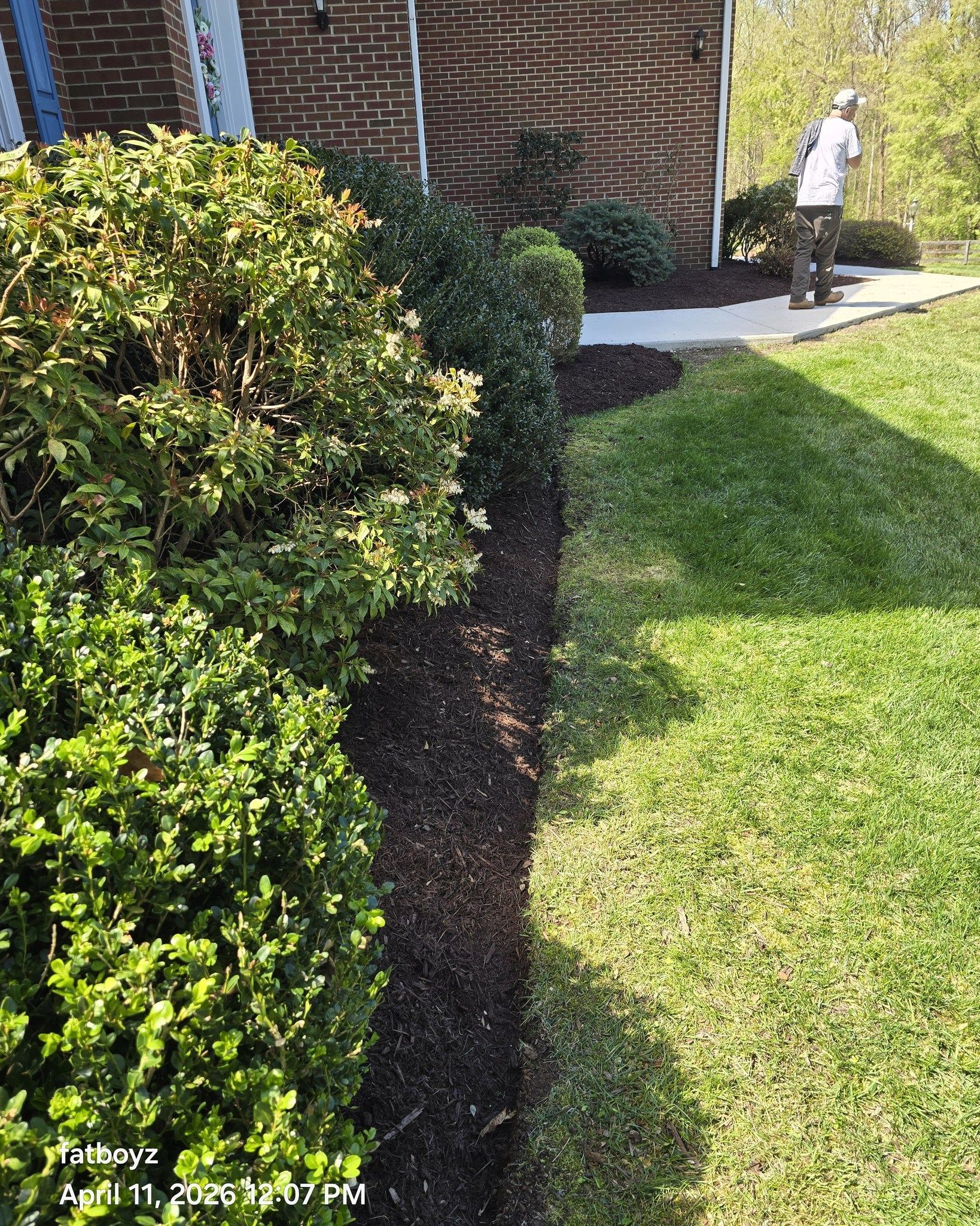 Man walking on a sidewalk beside a brick building, green bushes, and a grassy lawn.