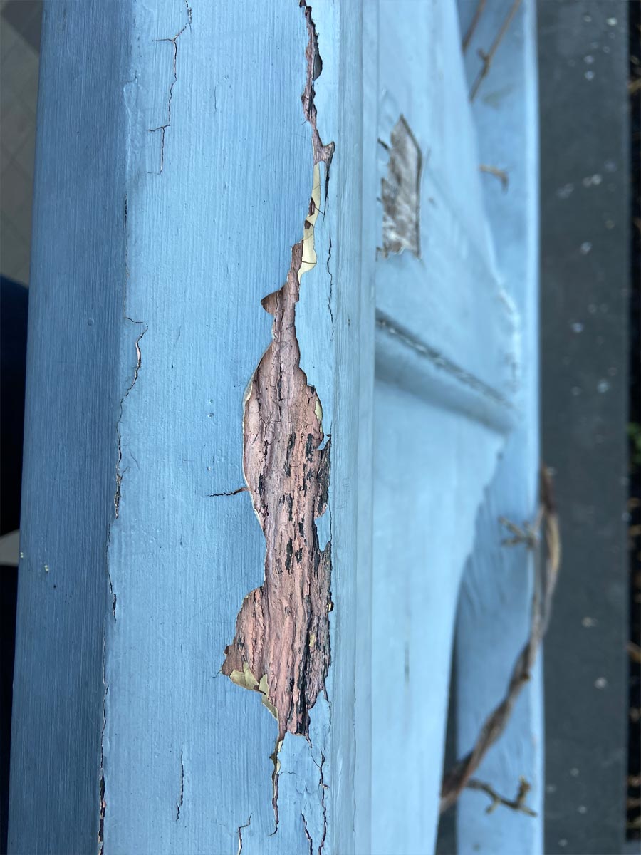Peeling Paint