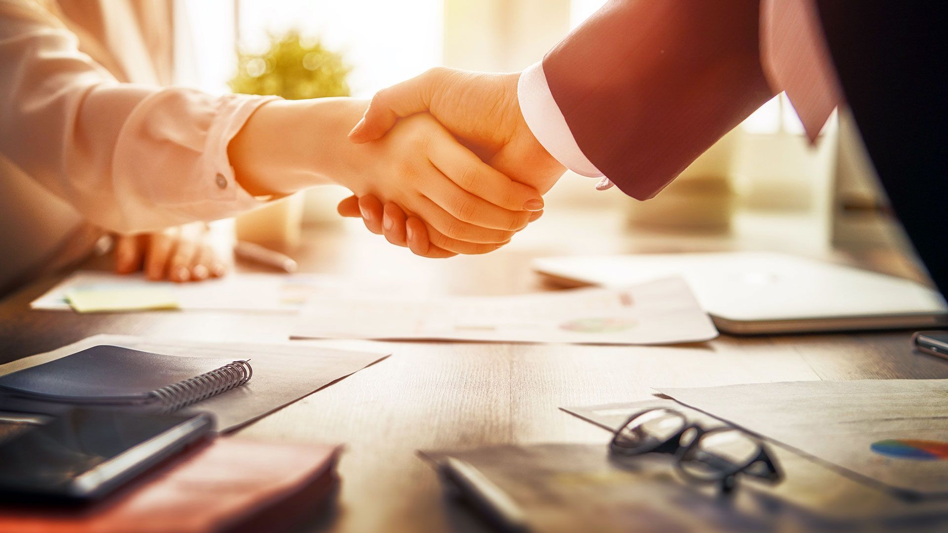 Due persone in abiti professionali si stringono la mano