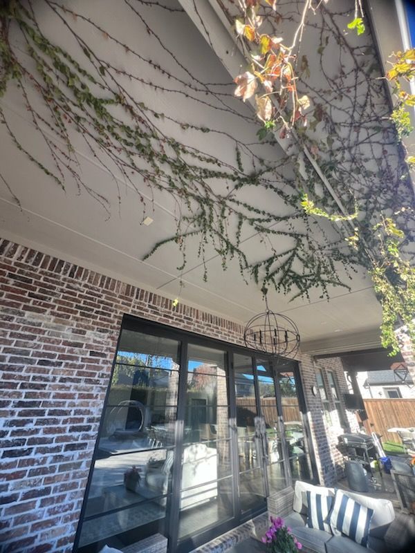 Brick building exterior with climbing vines on a white ceiling. Large glass windows are below.