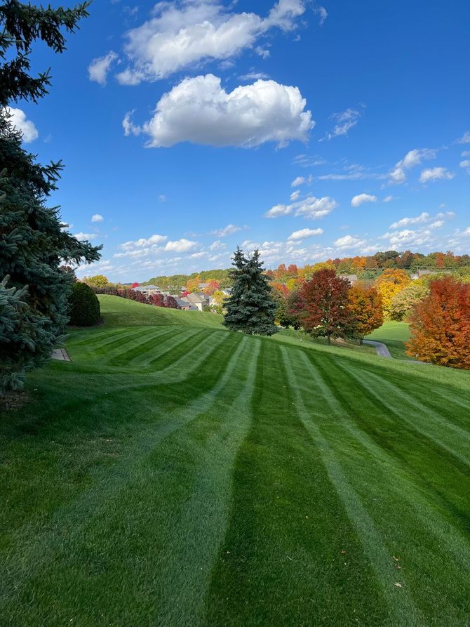 Grass and Lawn Mowing/Trimming Services