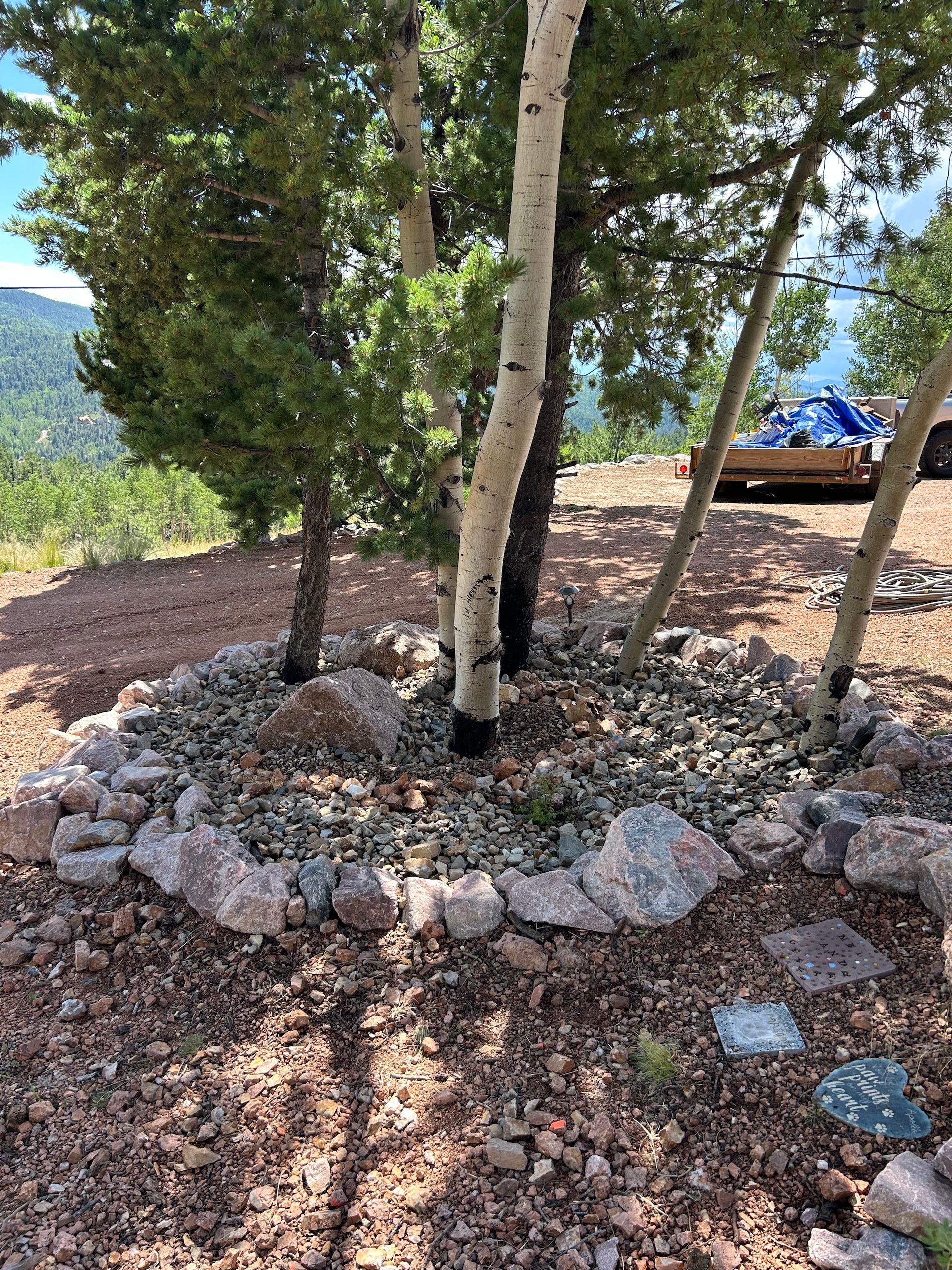 A group of trees surrounded by rocks and gravel on top of a hill.
