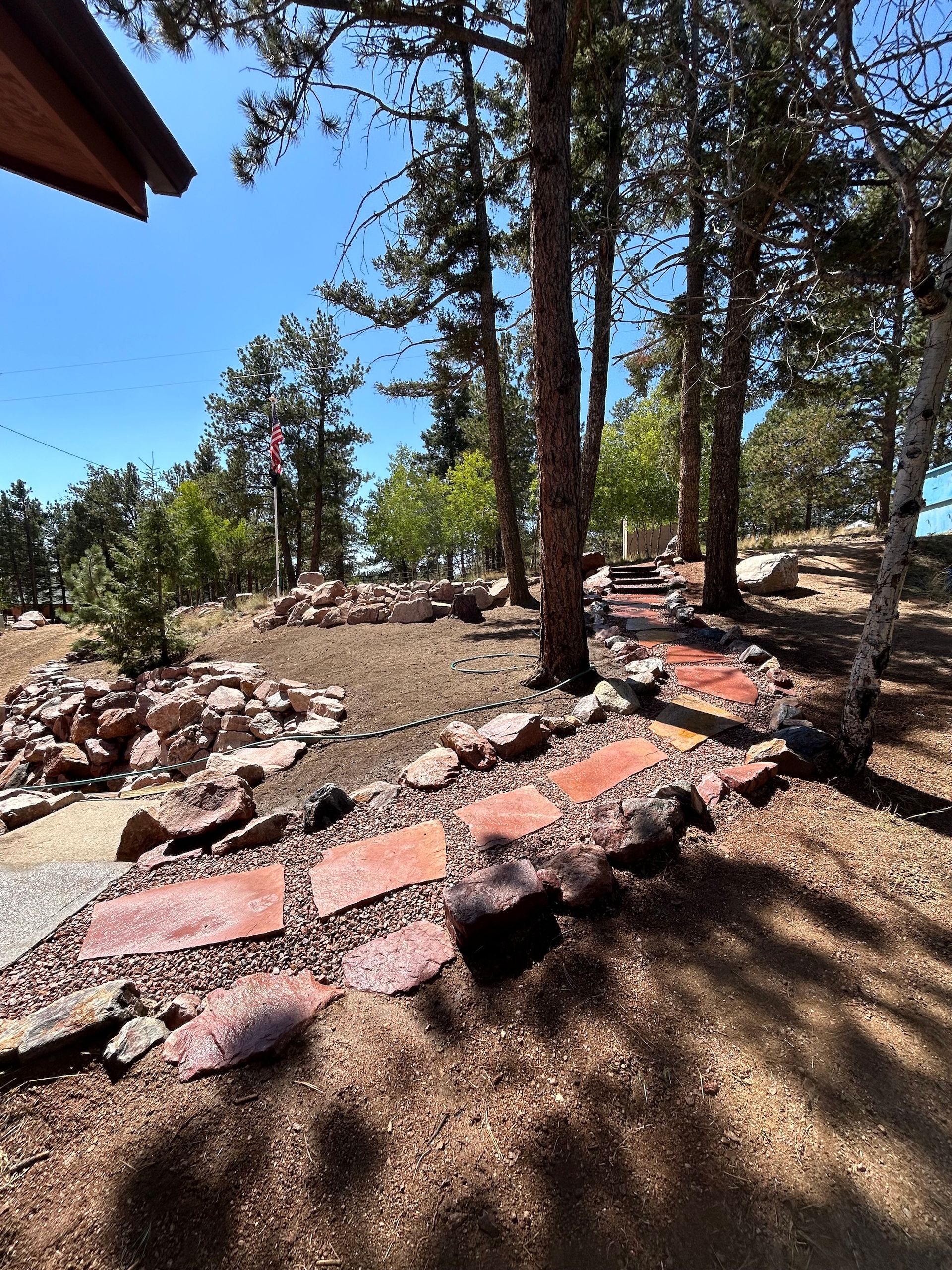 A path in the woods with rocks and trees