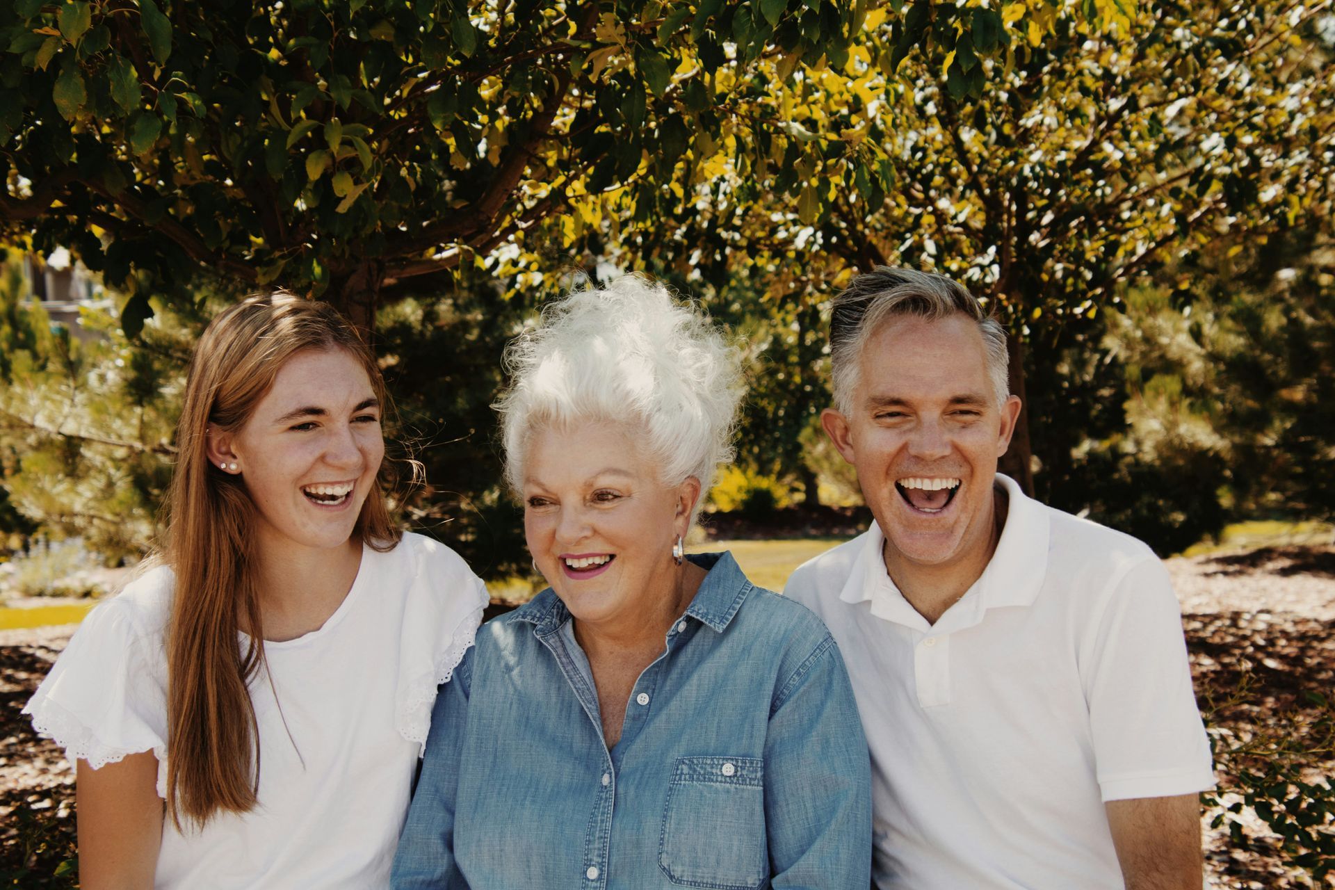 Three smiling people sitting outdoors under a tree in bright sunlight