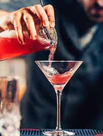 PROFESSIONAL MIXOLOGY
