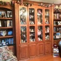 custom bookshelf