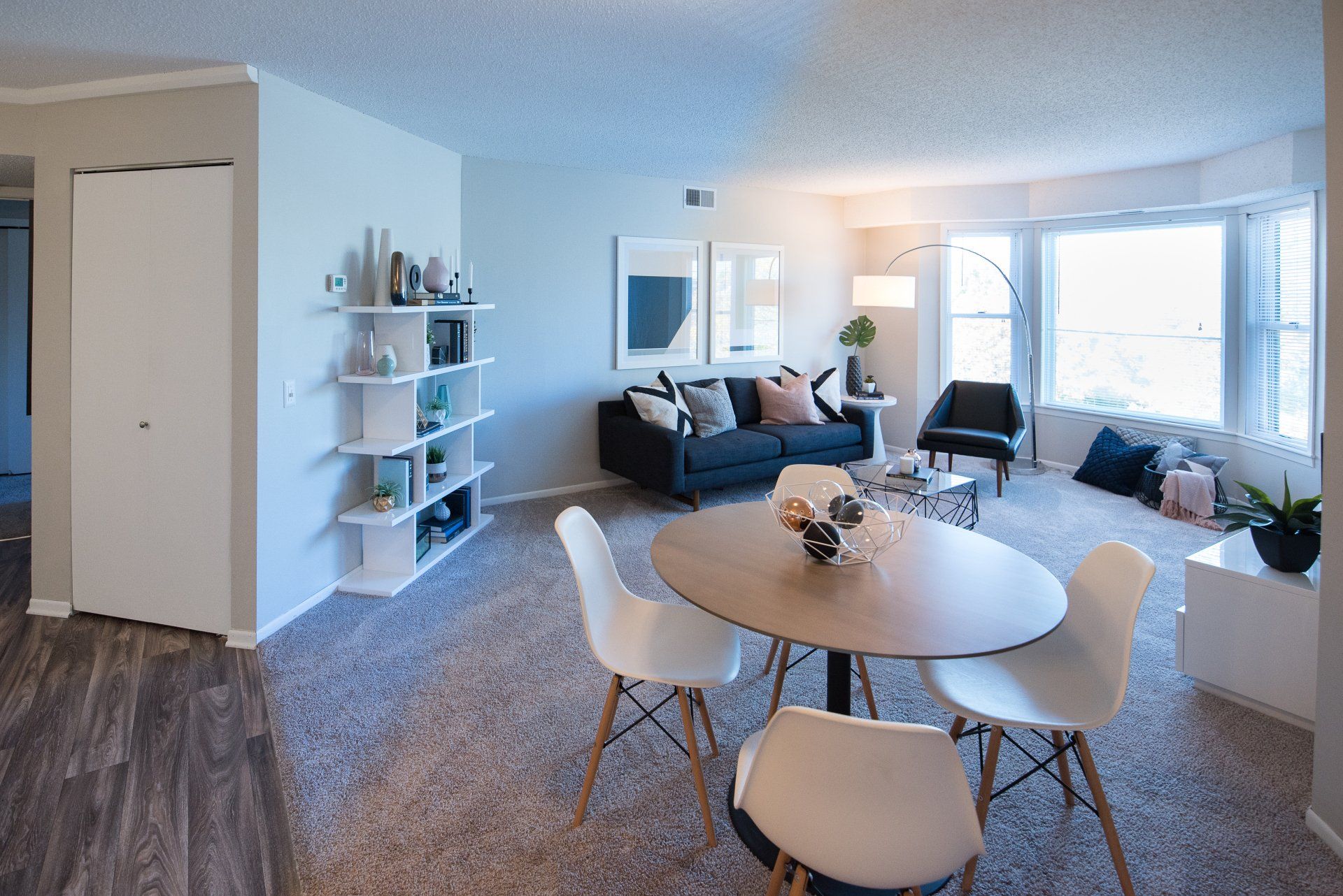 Living Room Apartment  Interior Photo