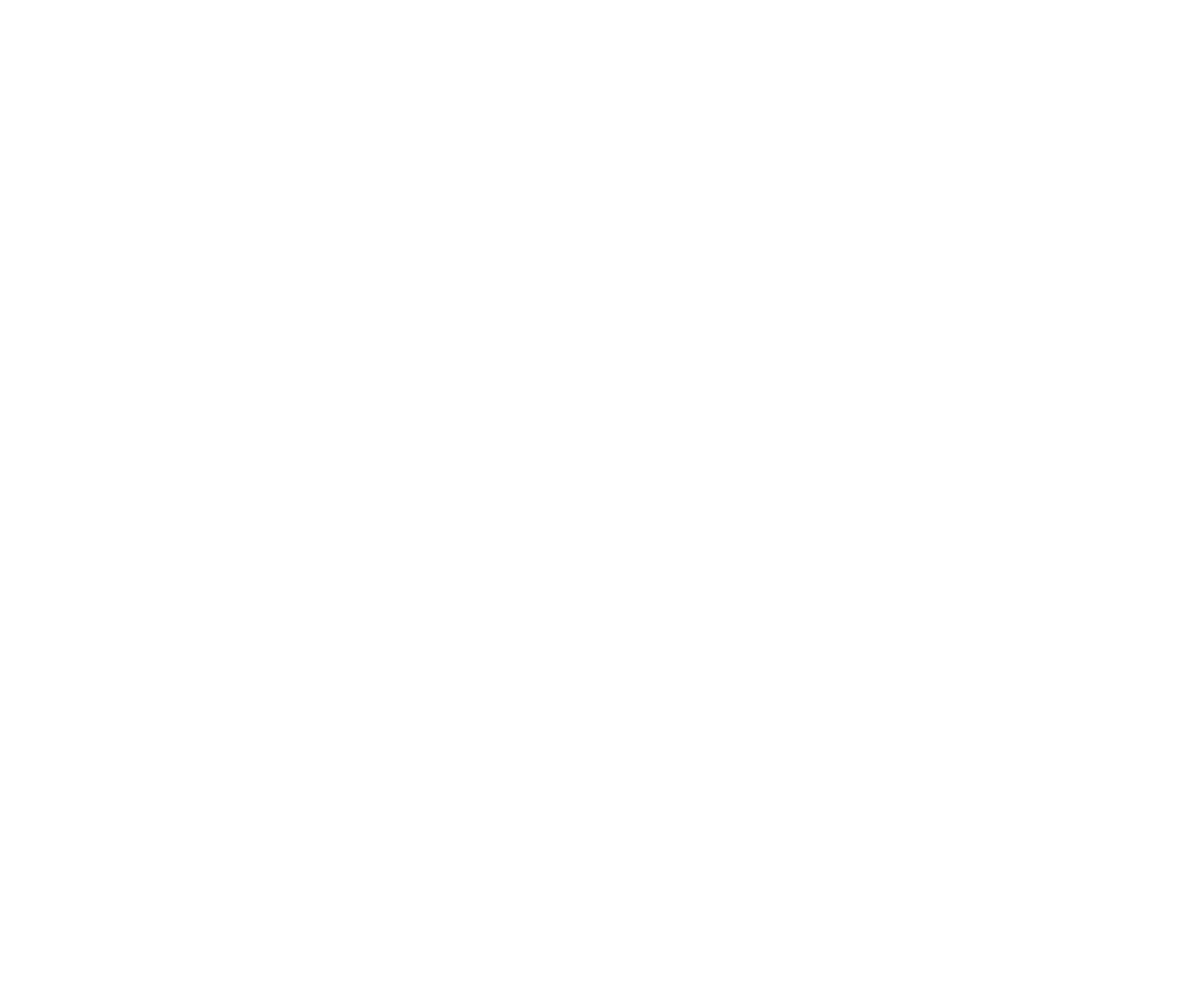 The Blair Logo