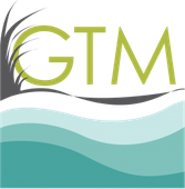 Friends of GTM
