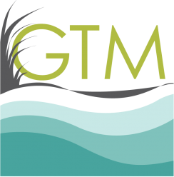 GTM logo with green letters above teal wave shapes and a gray swoosh
