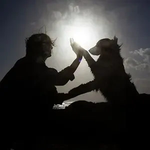 Silhouette of a person and a dog high-fiving against a bright, backlit sky.