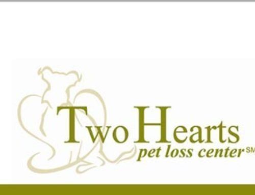 Two Hearts Pet Loss Center logo in gold and olive green with heart-shaped pet outlines