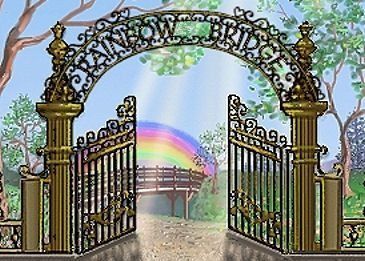 Open garden gate under ornate arch with rainbow and path leading to a bench by a fountain