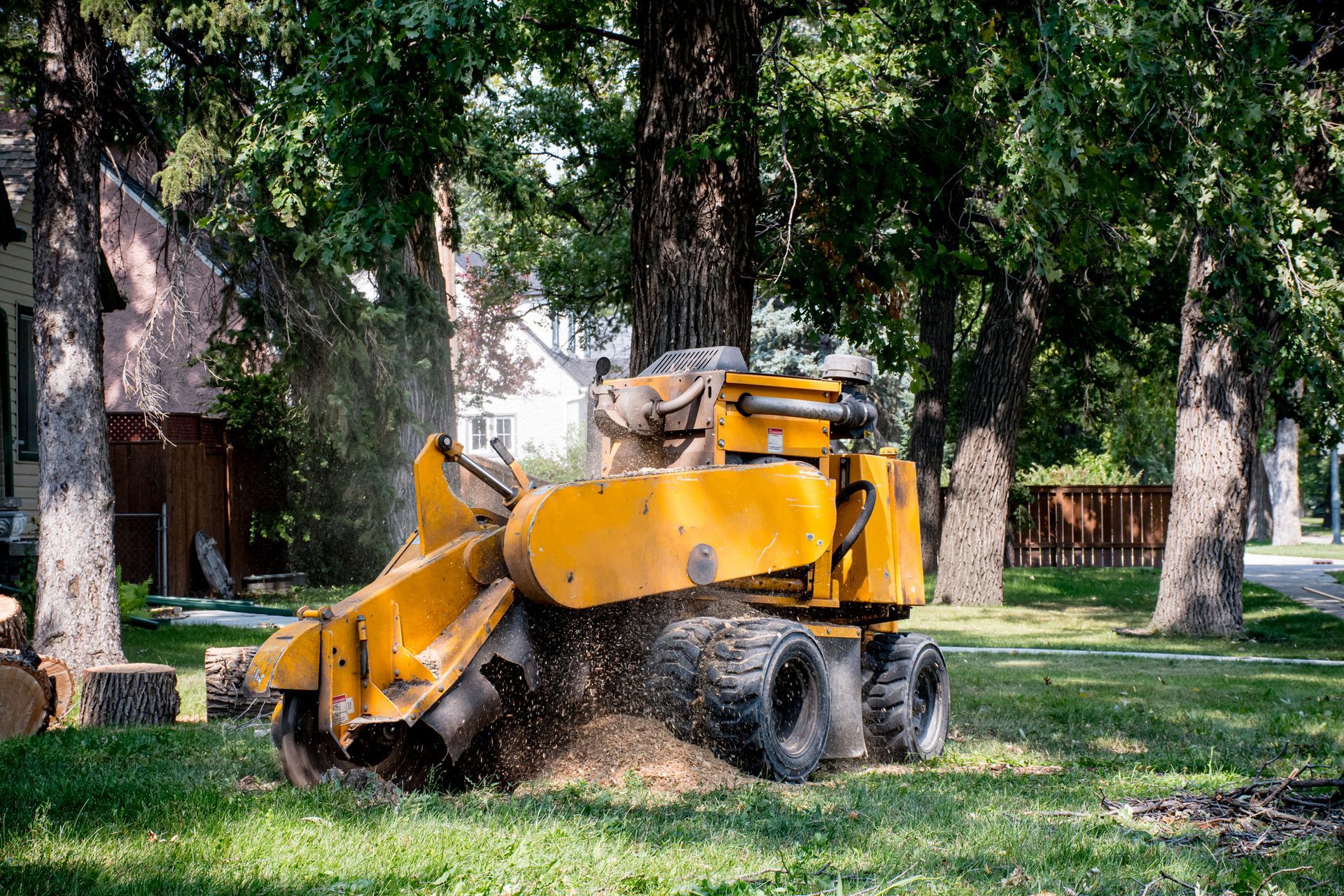 A yellow stump grinder is cutting a tree in a yard.